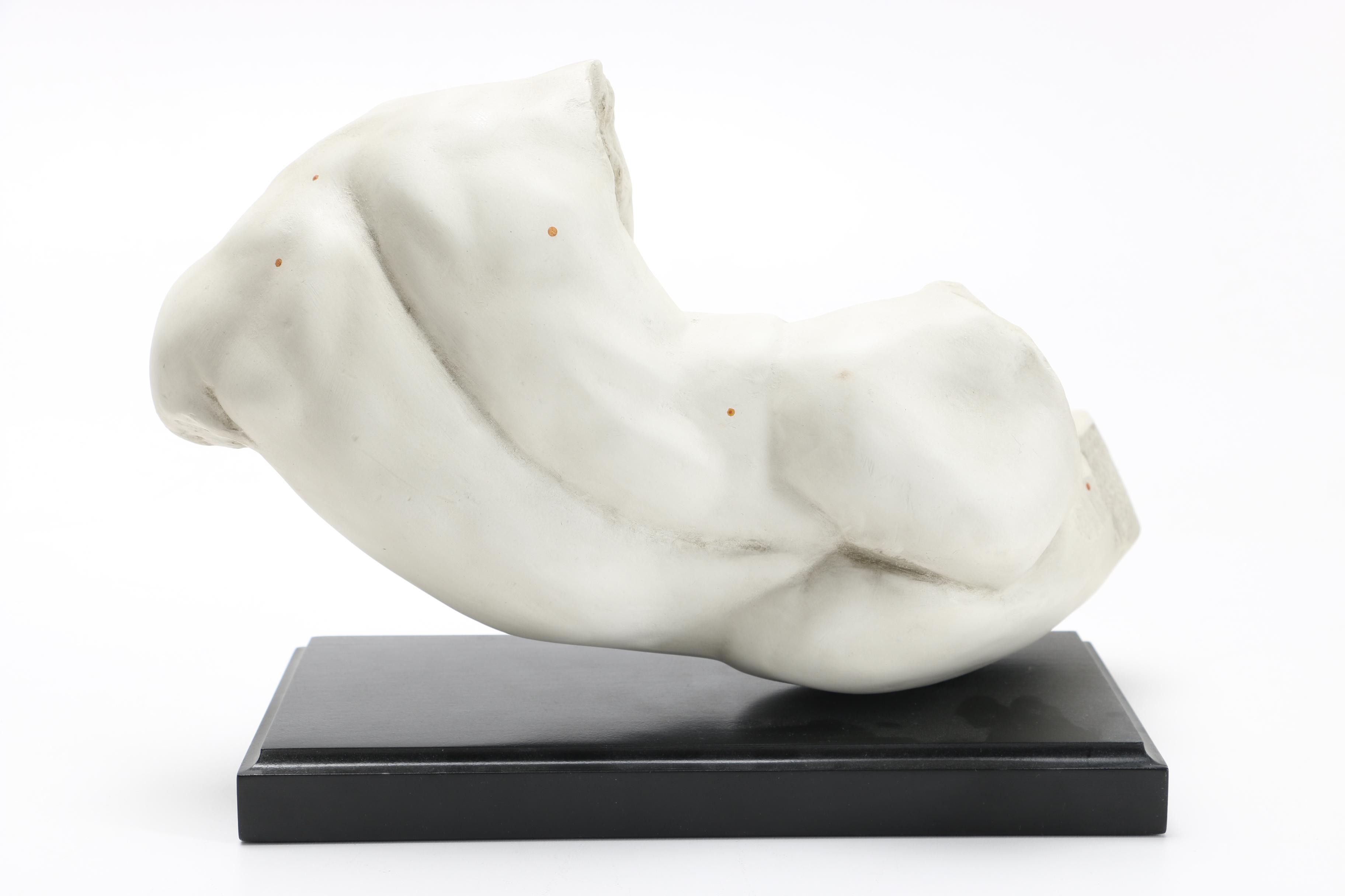 Replica Classical Torso Bust