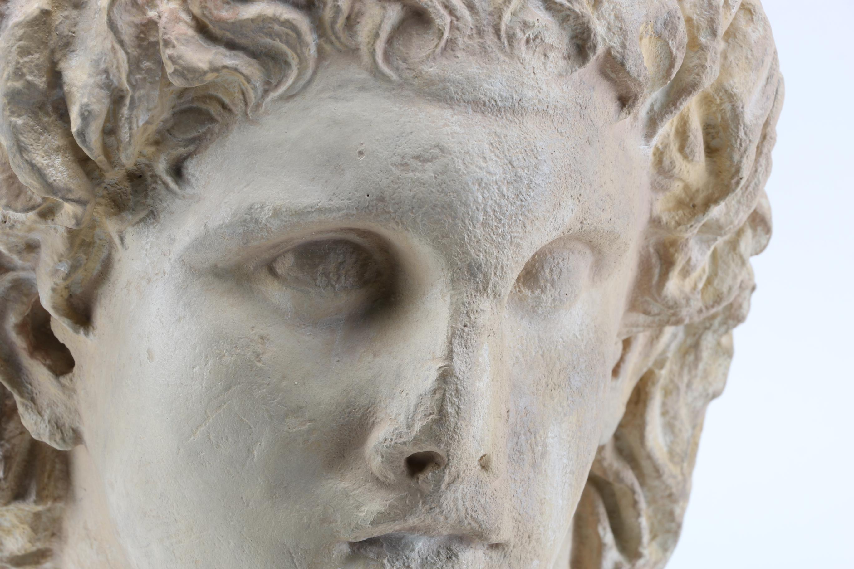 Reproduction Alexander the Great Bust