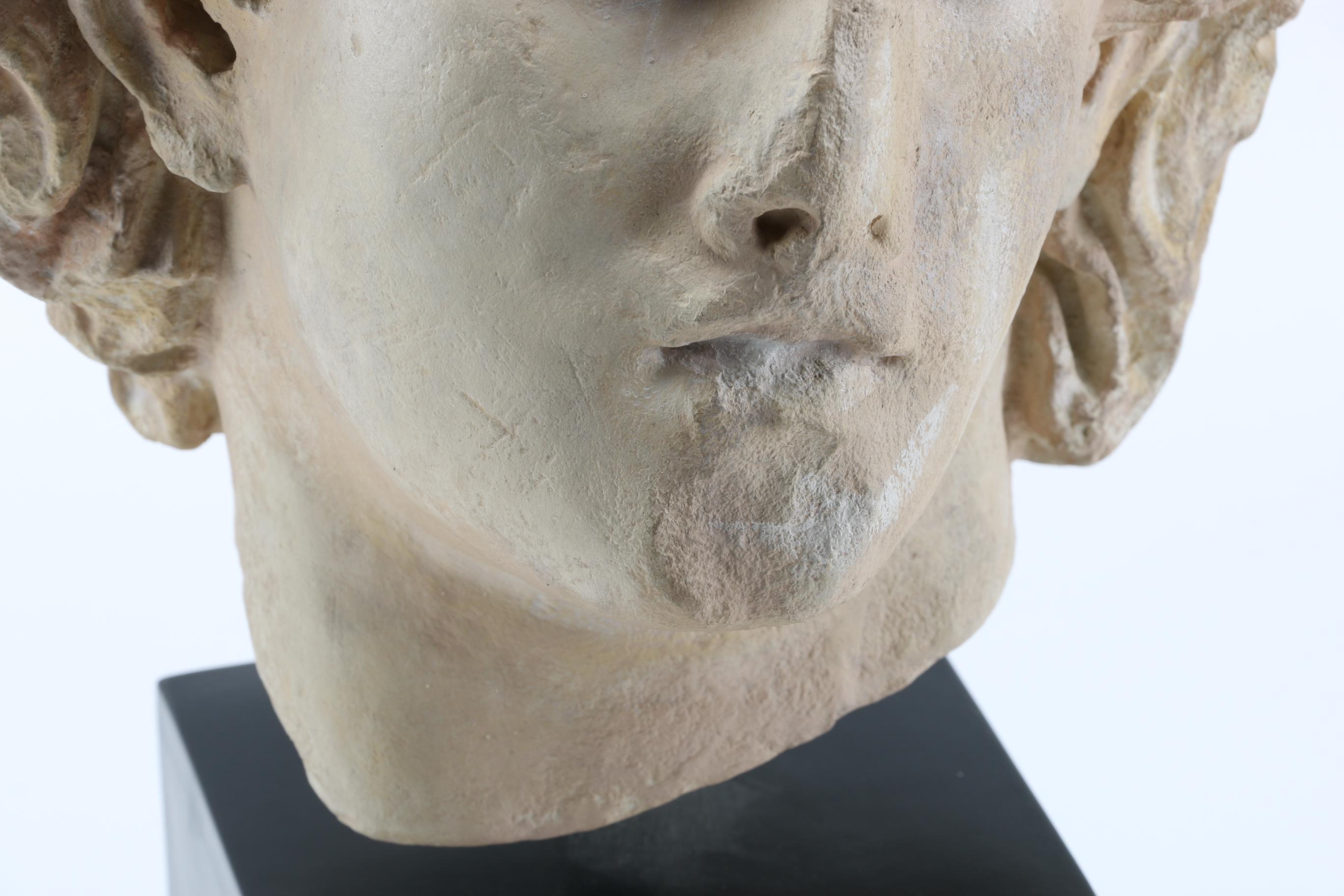 Reproduction Alexander the Great Bust