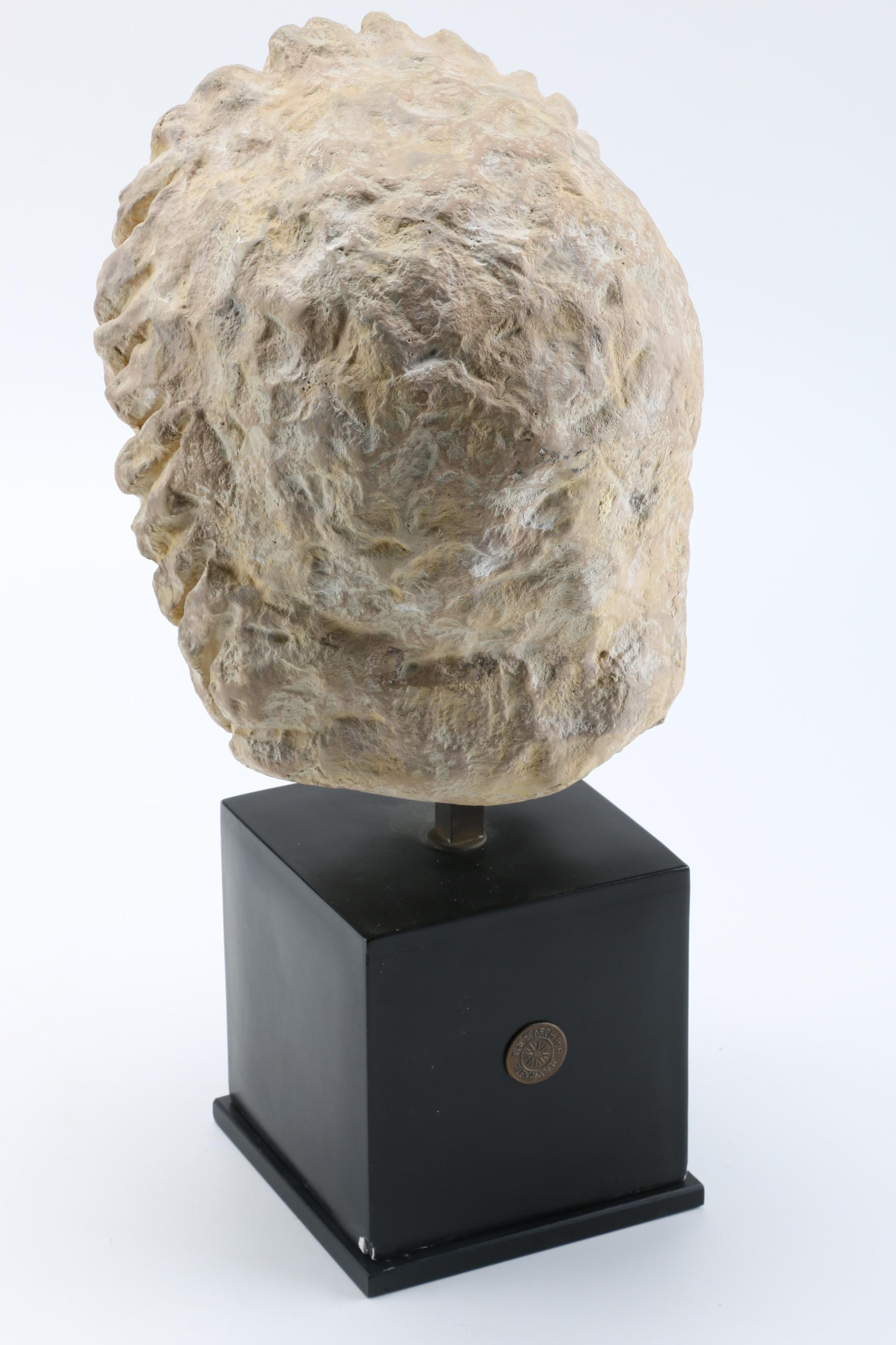 Reproduction Alexander the Great Bust