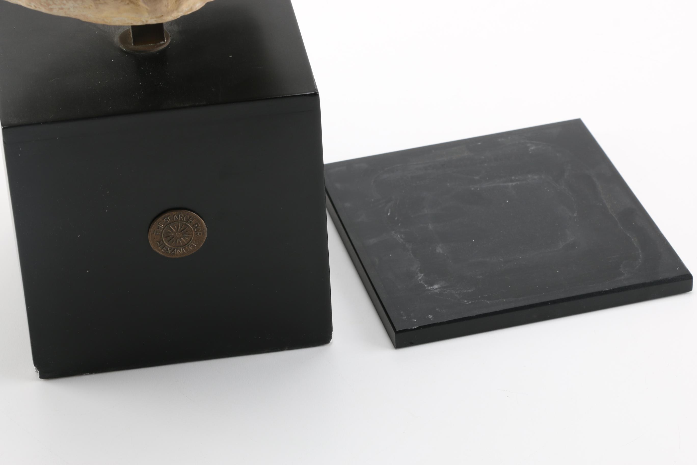 Reproduction Alexander the Great Bust