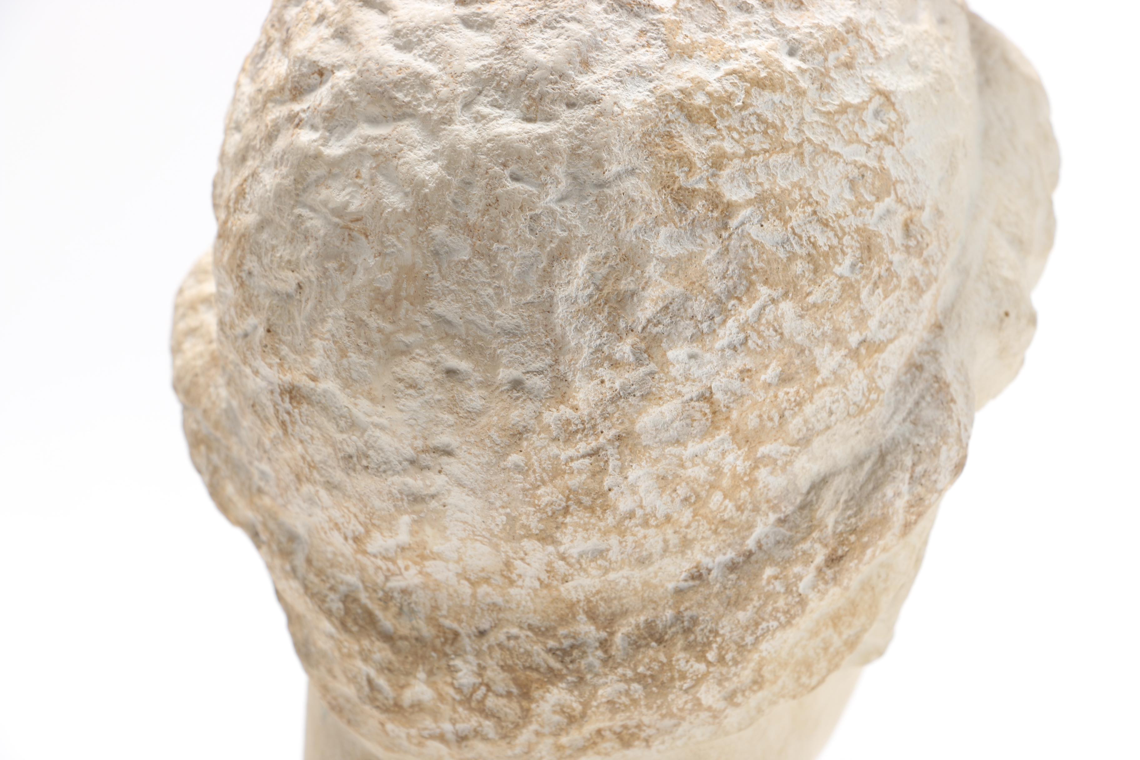 Reproduction Greek Bust of a Young Woman