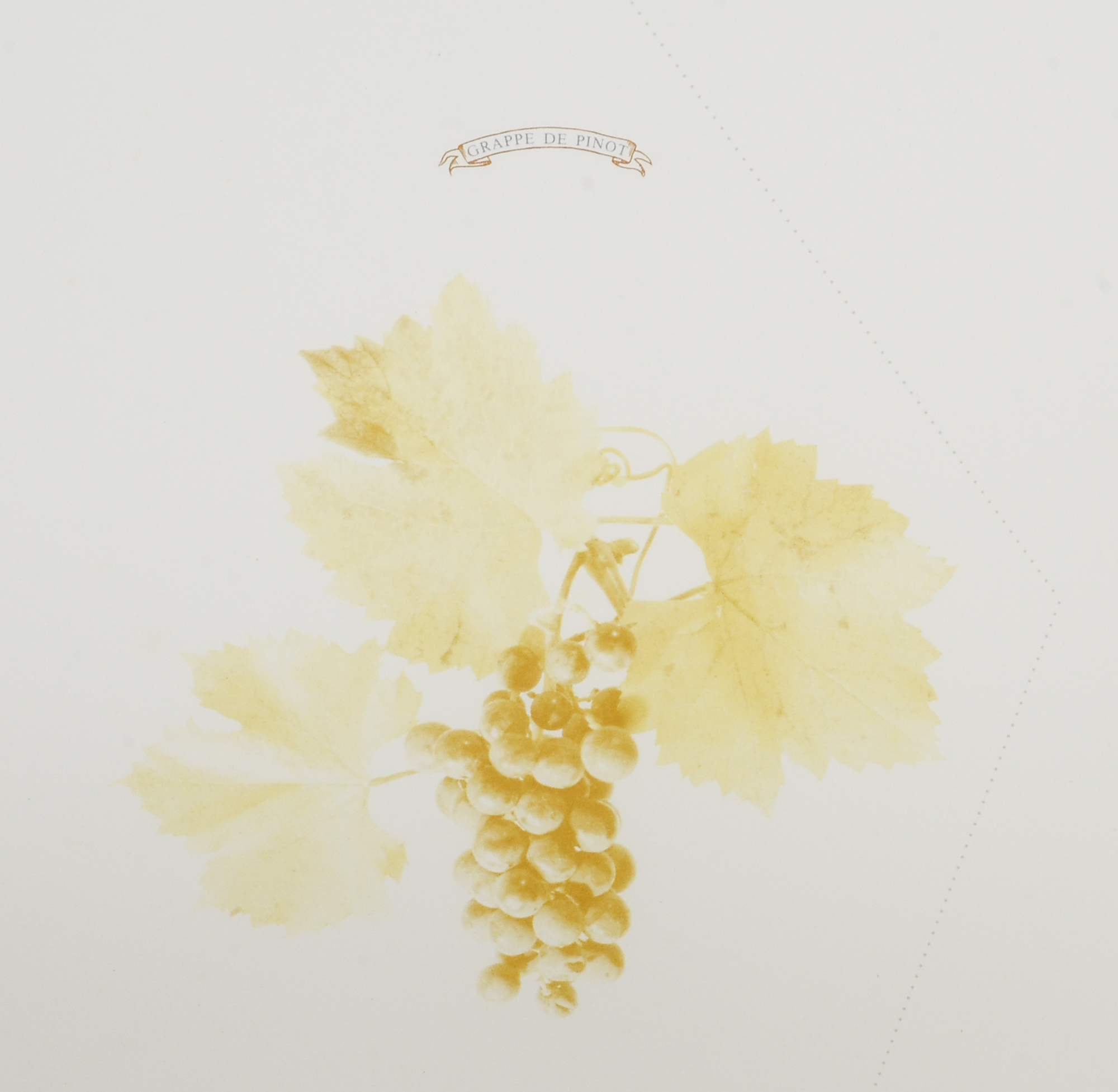 Two Wine Atlas Maps of Côte de Beaune & Côte de Nuits