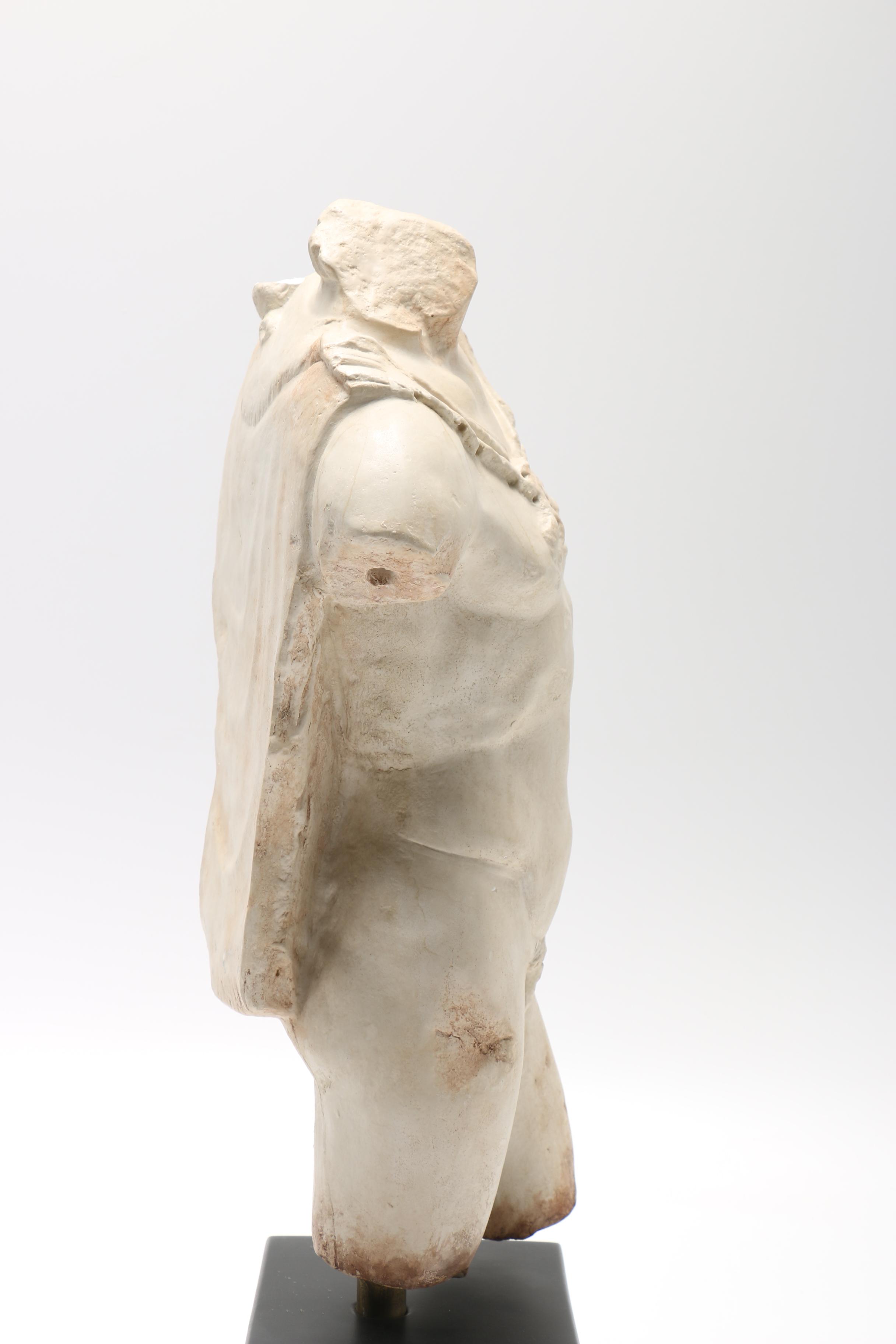Reproduction Male Torso Sculpture