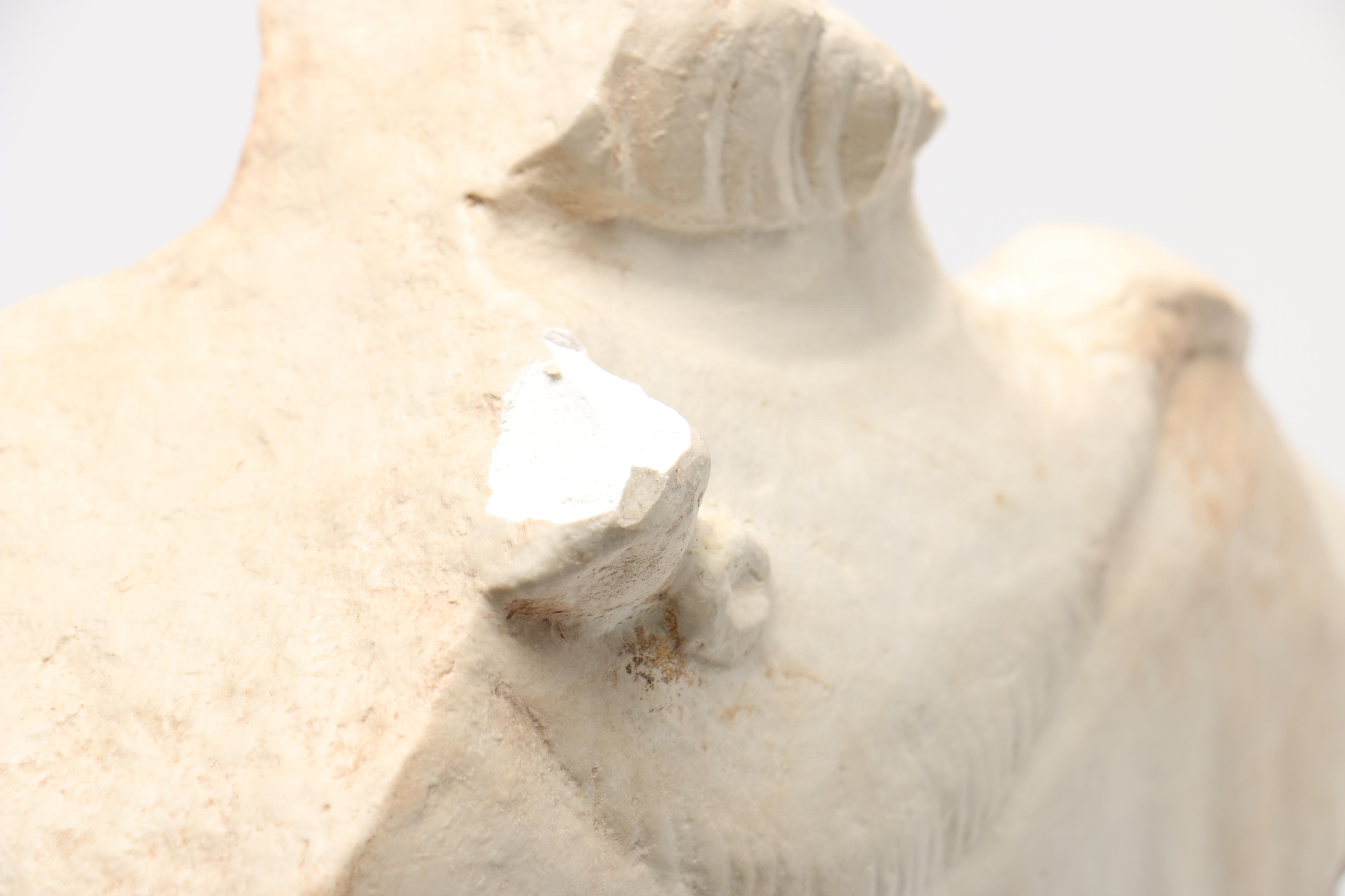 Reproduction Male Torso Sculpture