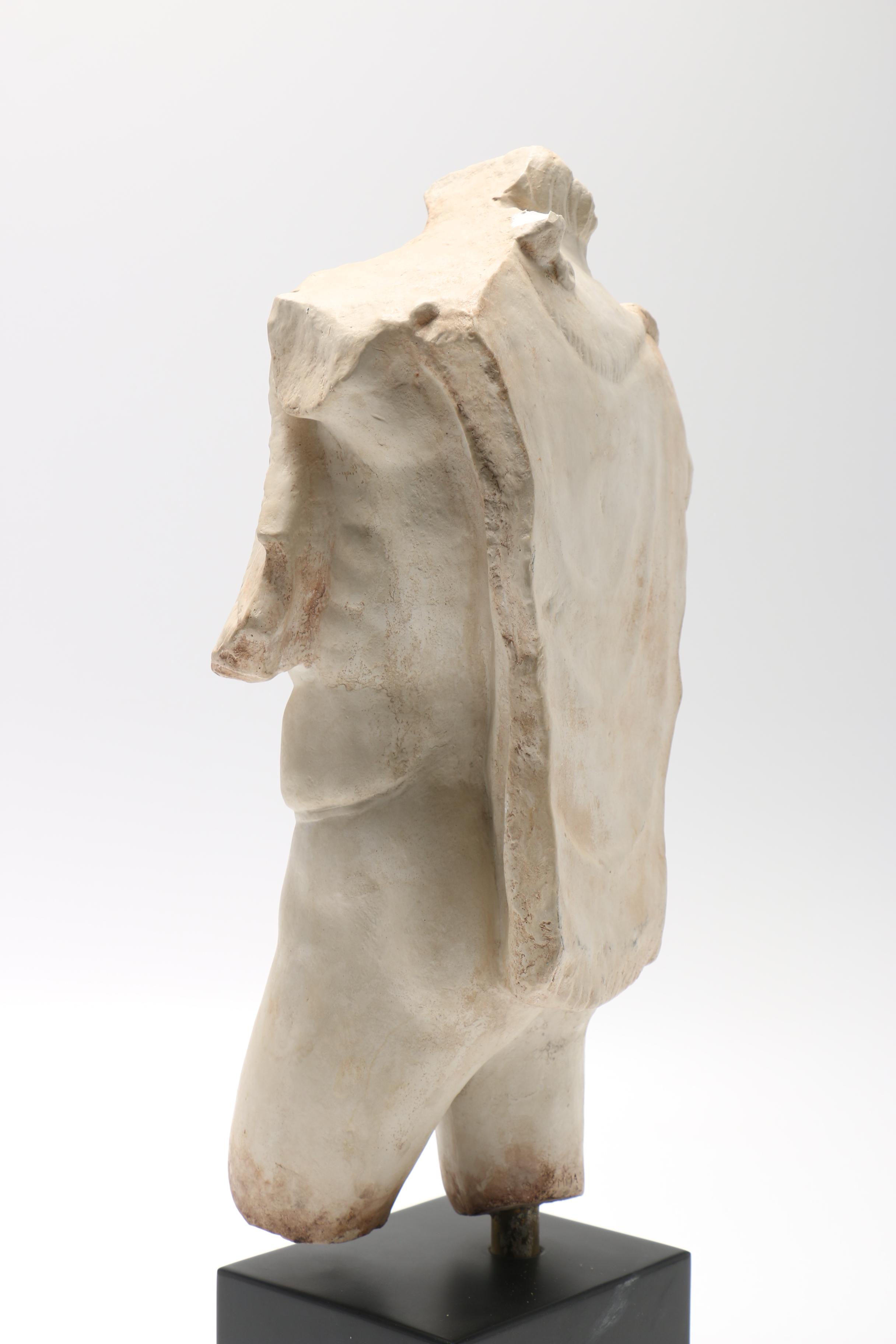 Reproduction Male Torso Sculpture