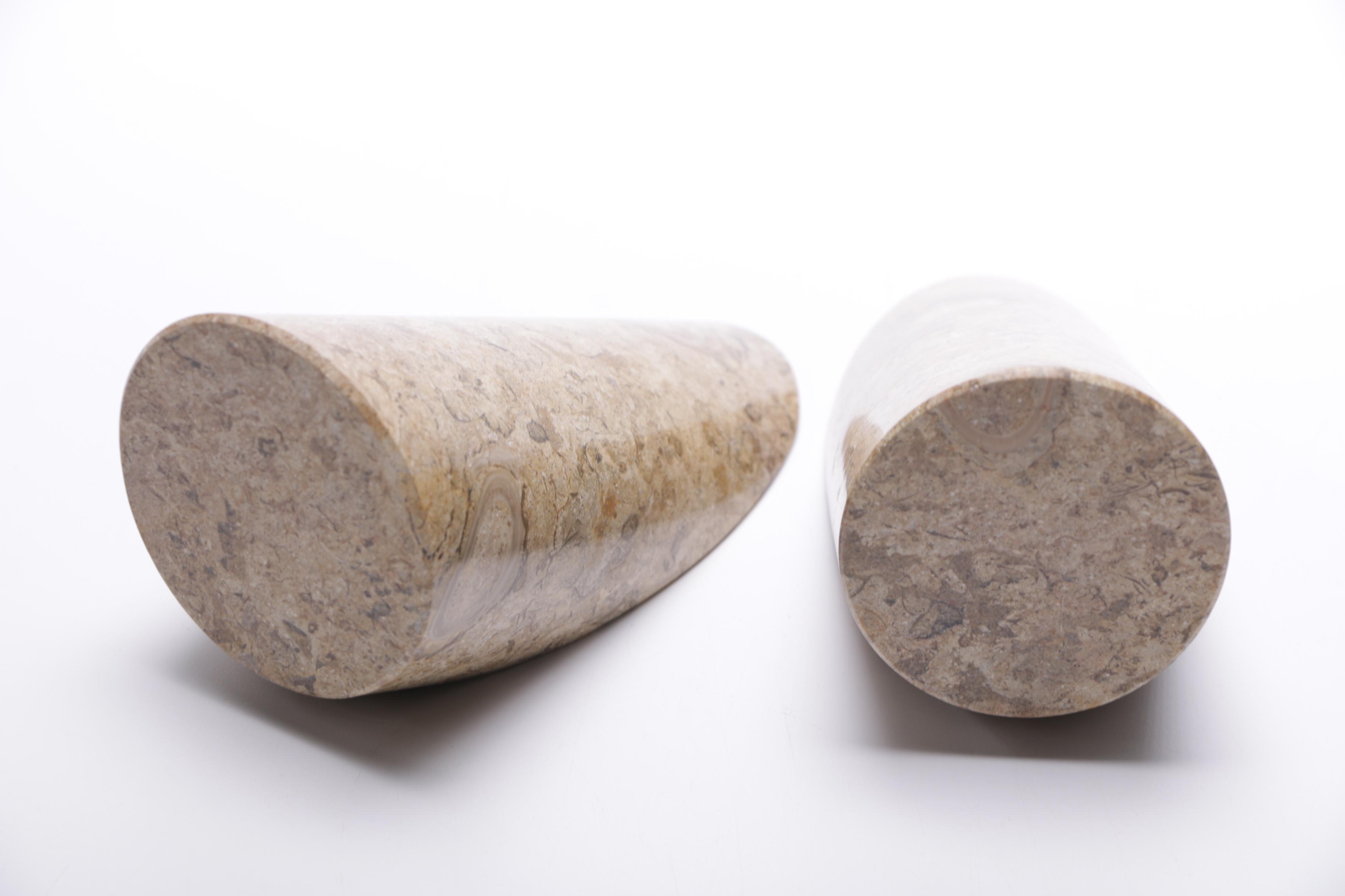 Fossiliferous Limestone Bookends