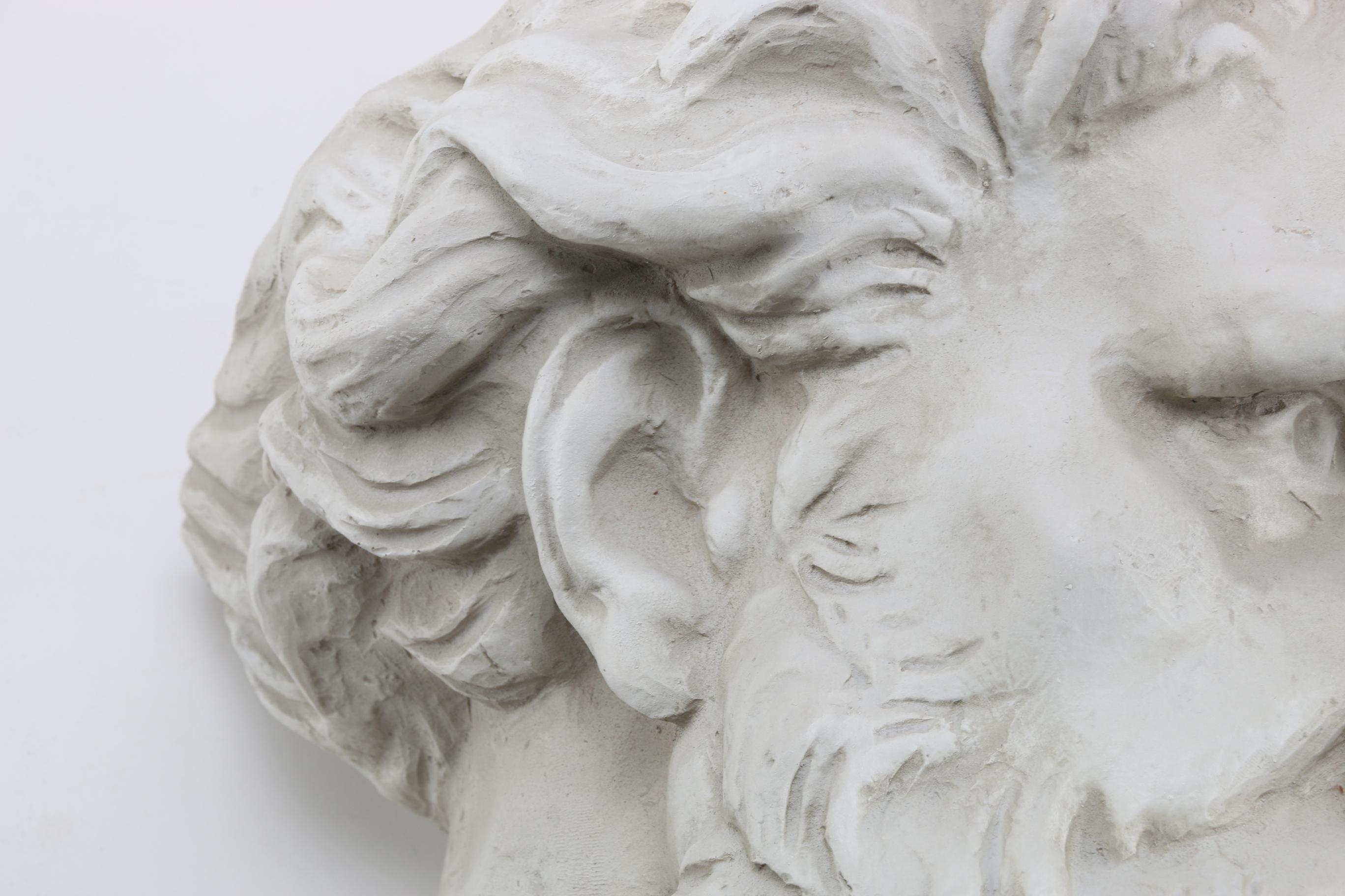 Design Toscano Reproduction Bust of Neptune Wall Decor