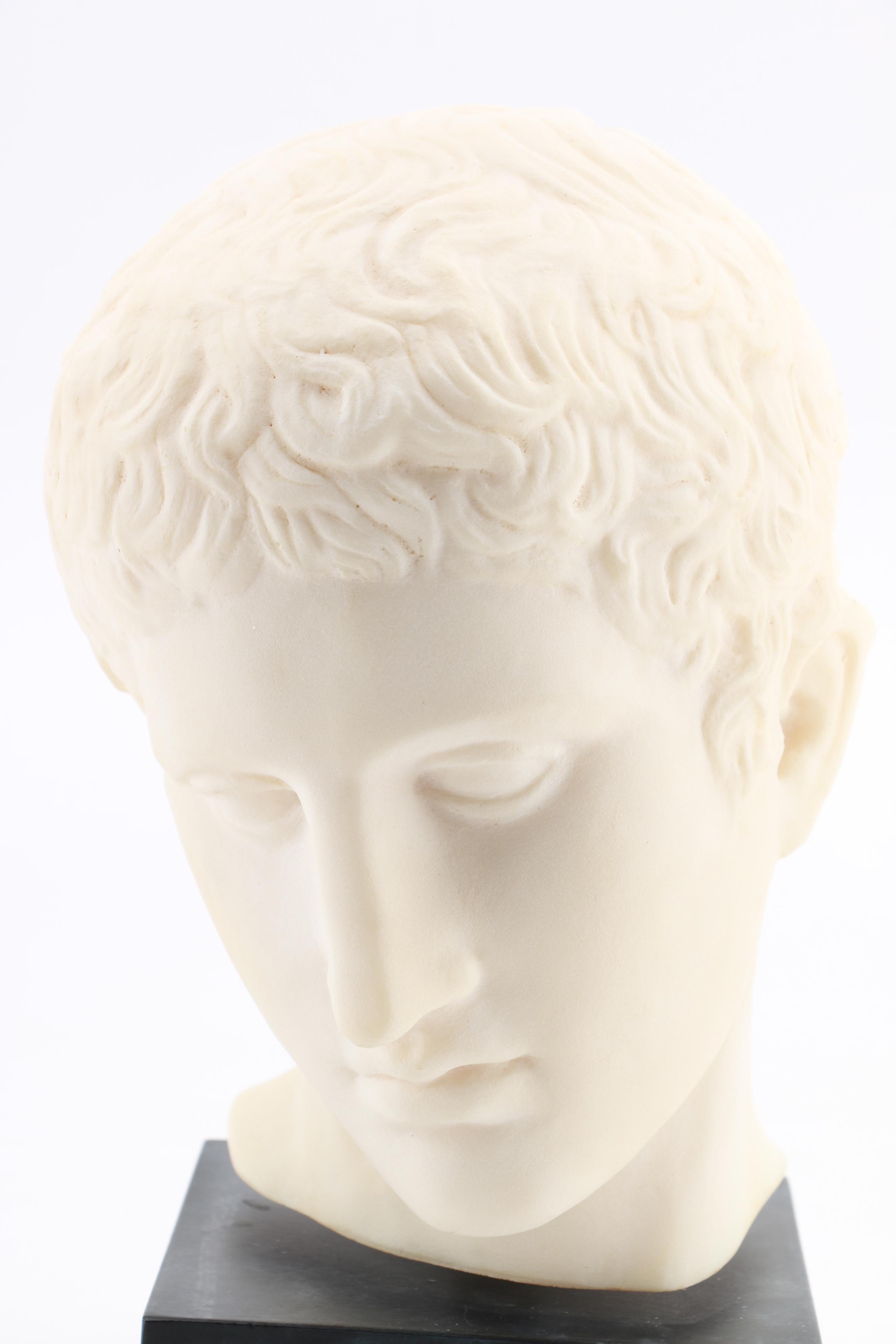 Reproduction Resin Male Bust