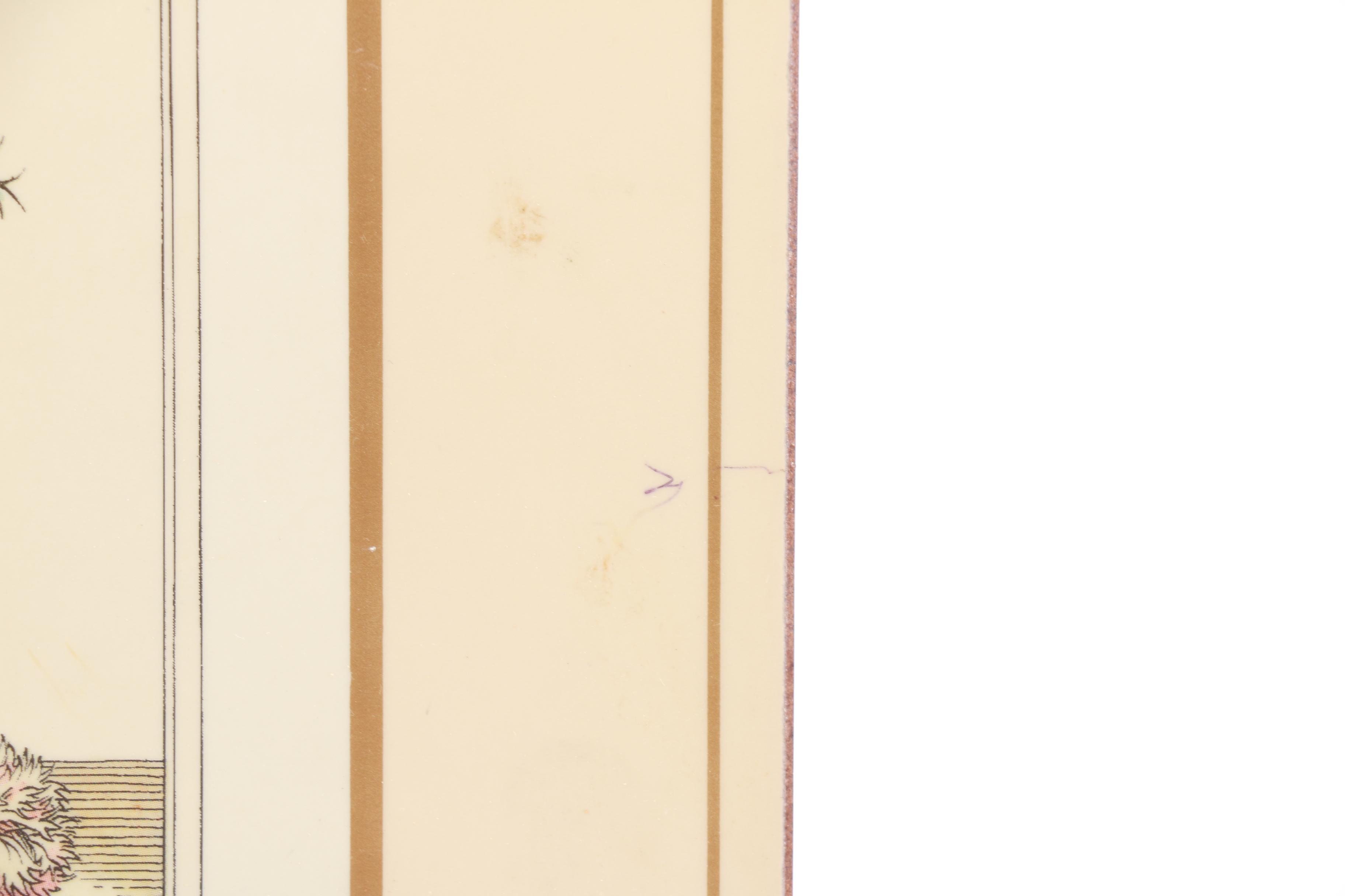 Set of Floral Placemats