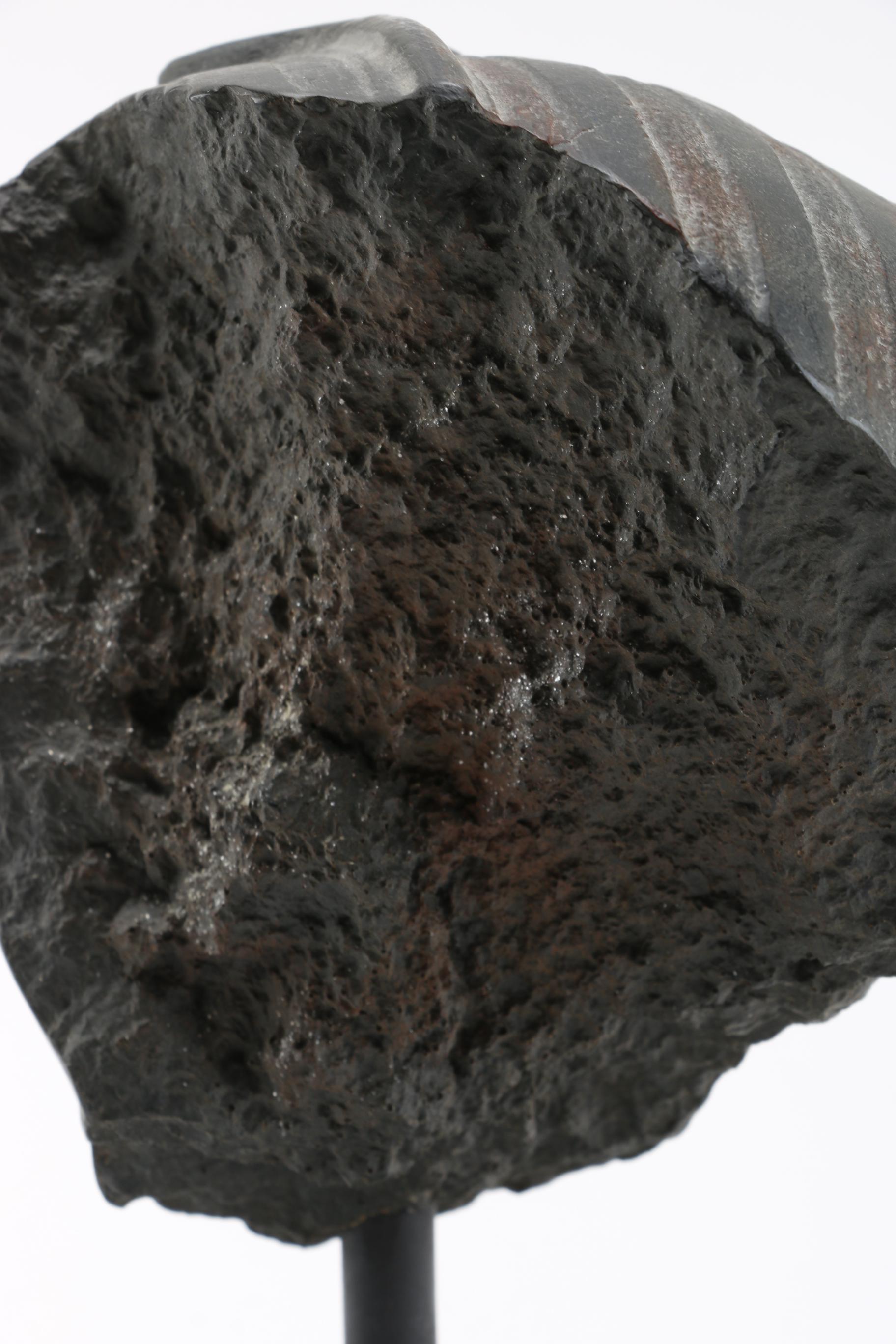 Reproduction Pharaoh Bust