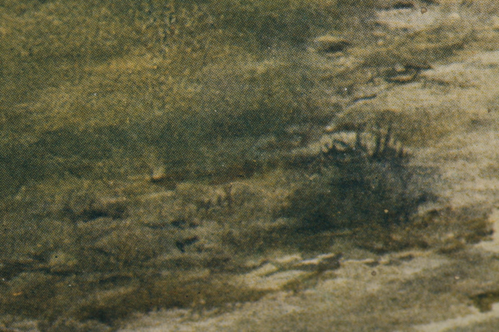 Framed Offset Lithograph of Woods