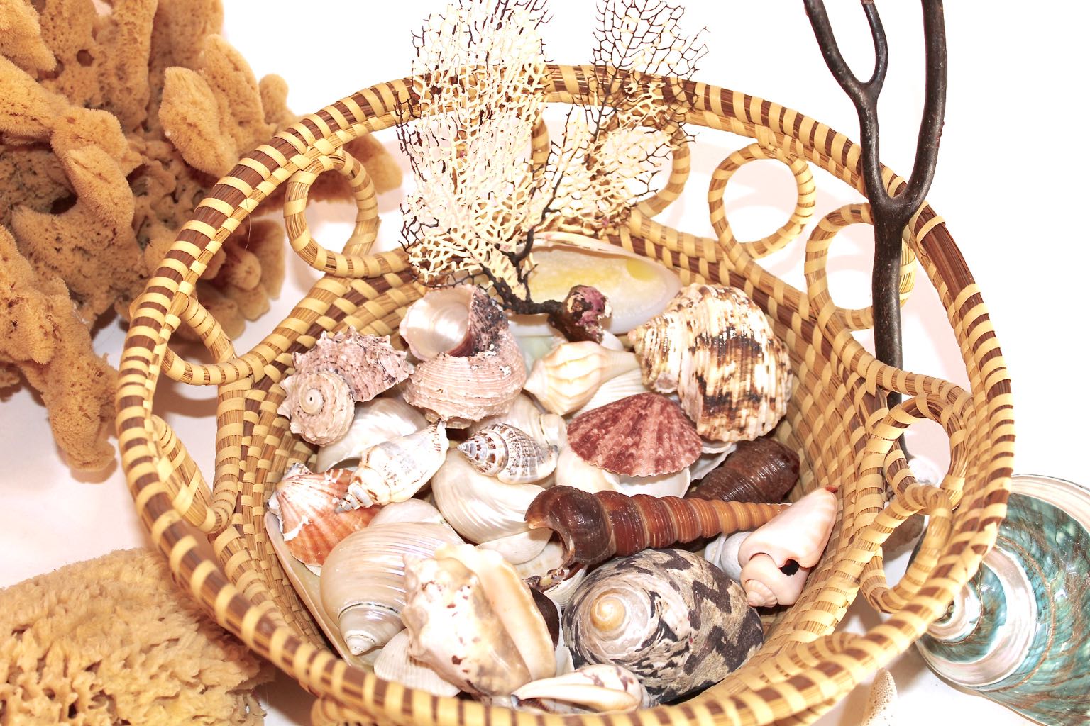 Hand Woven Sea Grass Basket and Shell Collection