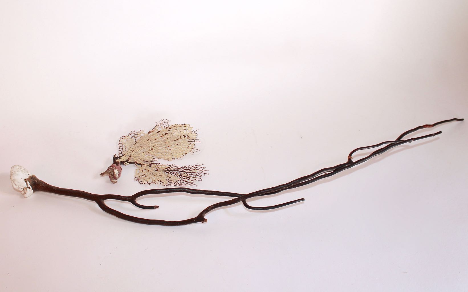 Hand Woven Sea Grass Basket and Shell Collection