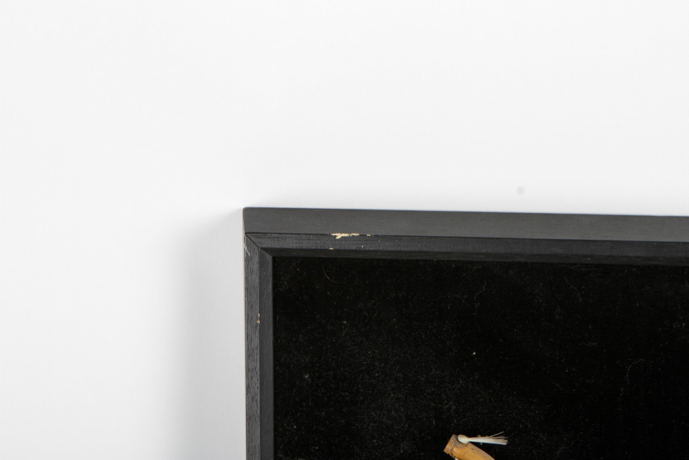 Framed Chinese Instruments