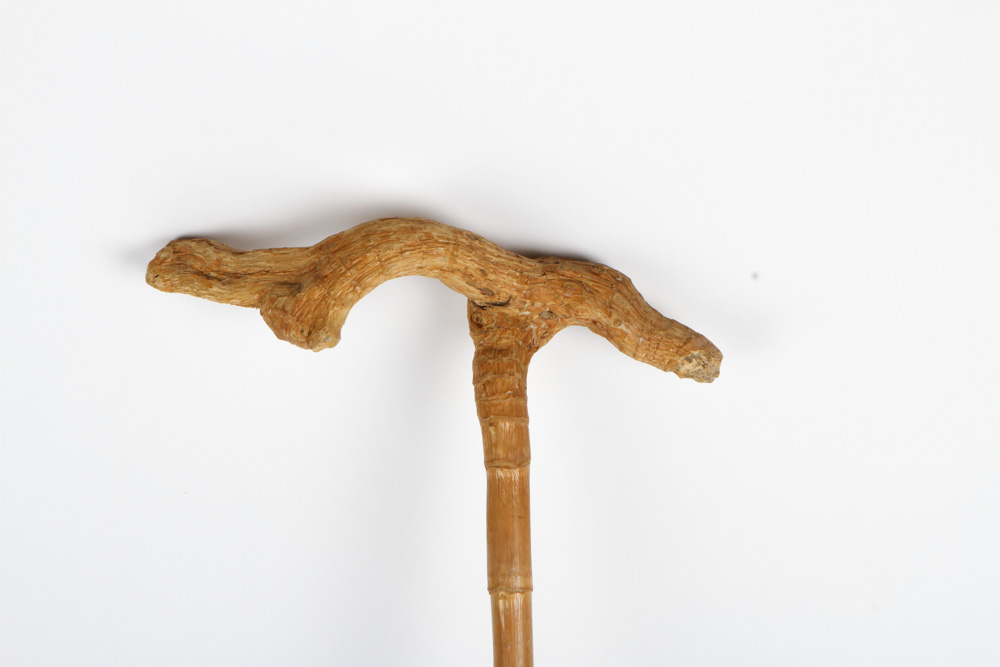 Hand-Carved Wooden Walking Stick