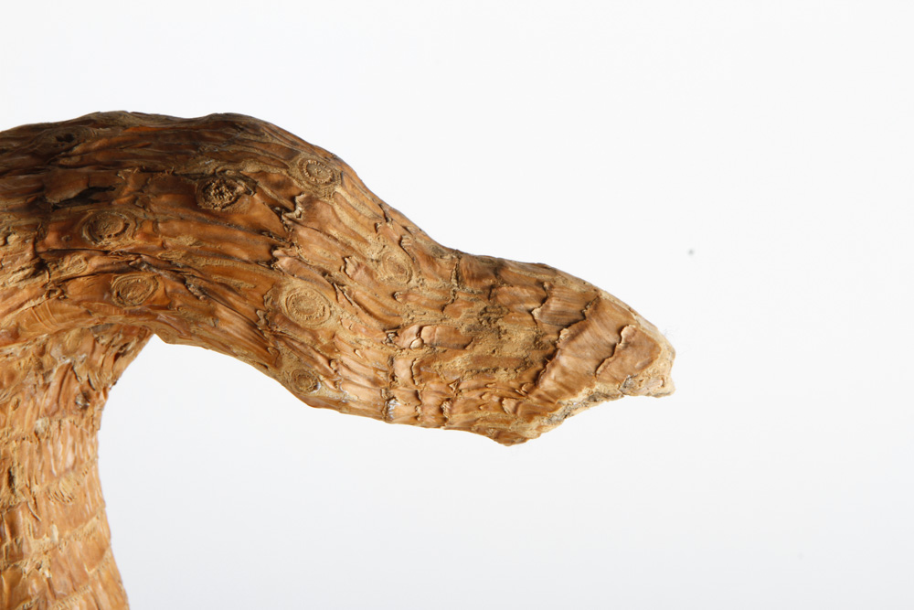 Hand-Carved Wooden Walking Stick