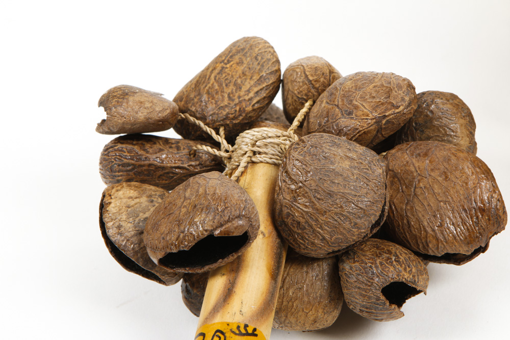 Drum and Handheld Percussion Instruments