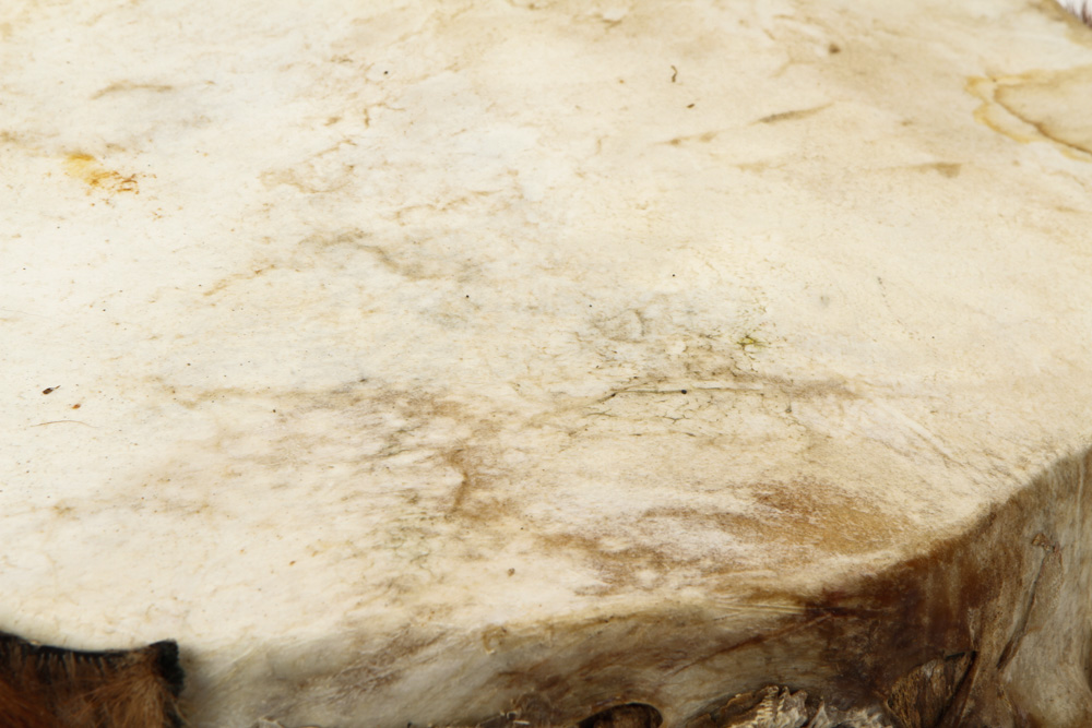 Drum and Handheld Percussion Instruments