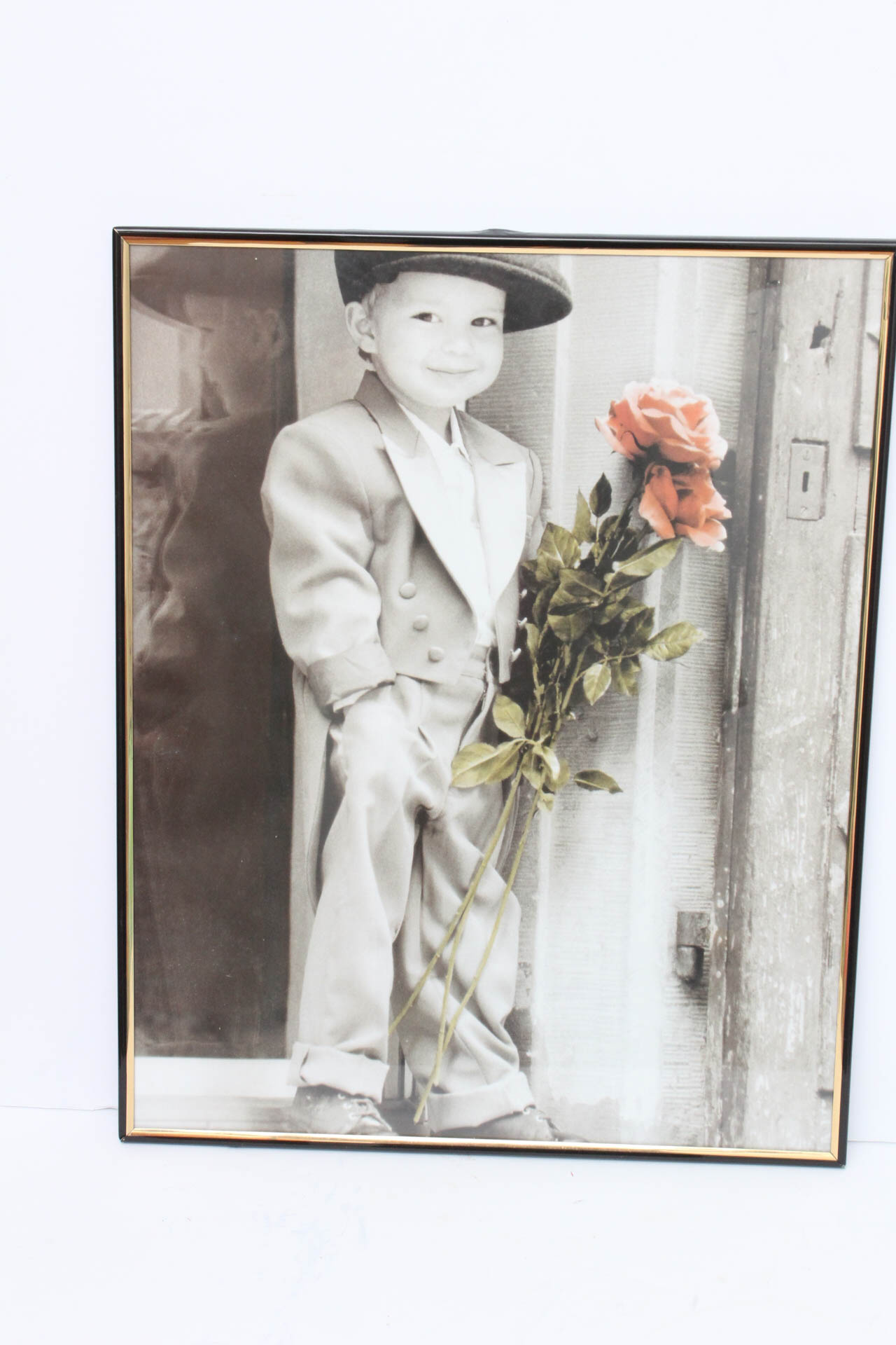 Collection of Kim Anderson Photos with Book