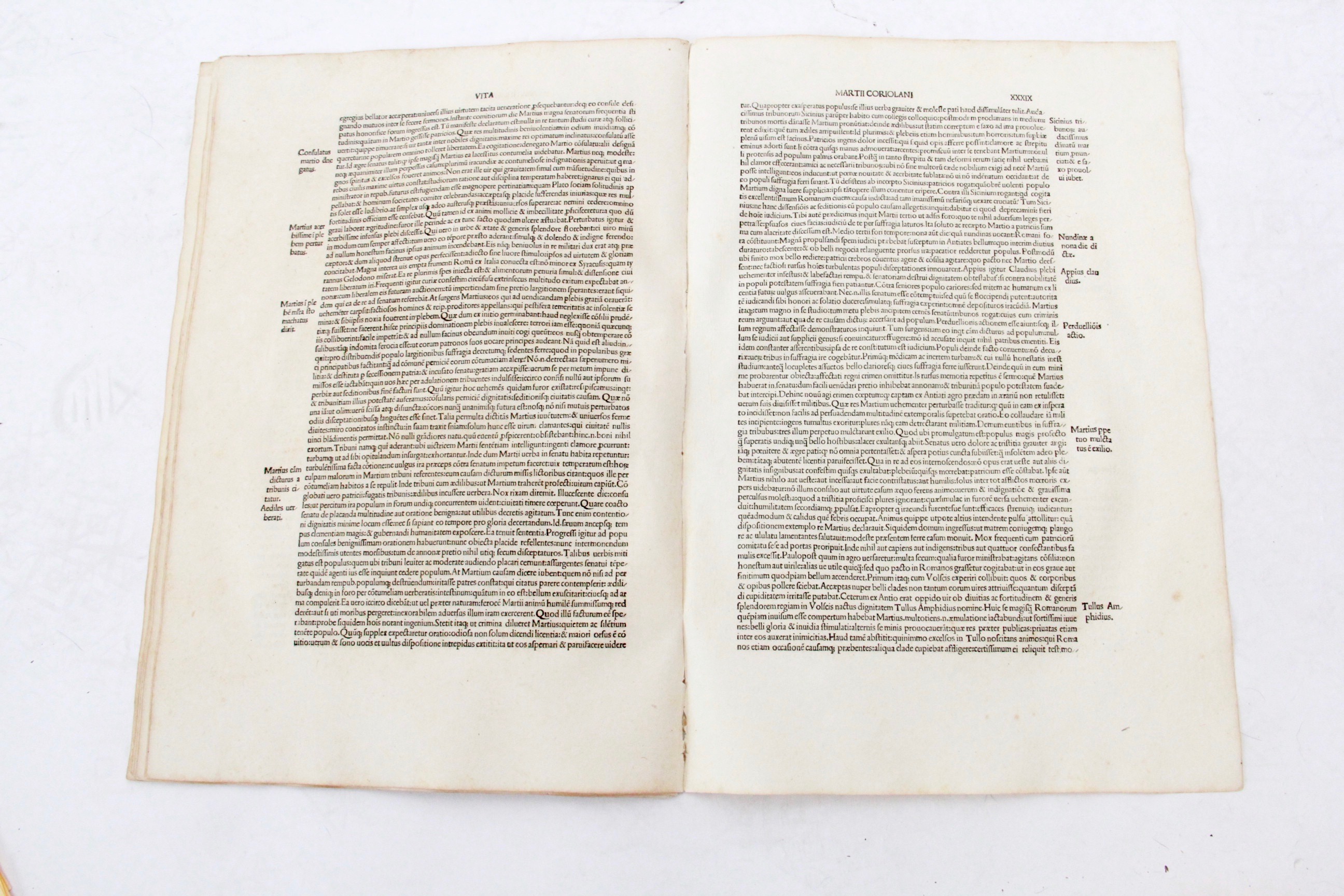 Collection of Pages of Early Books