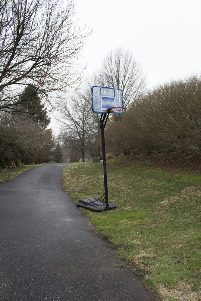 Lifetime Pro-Glass Basketball Hoop