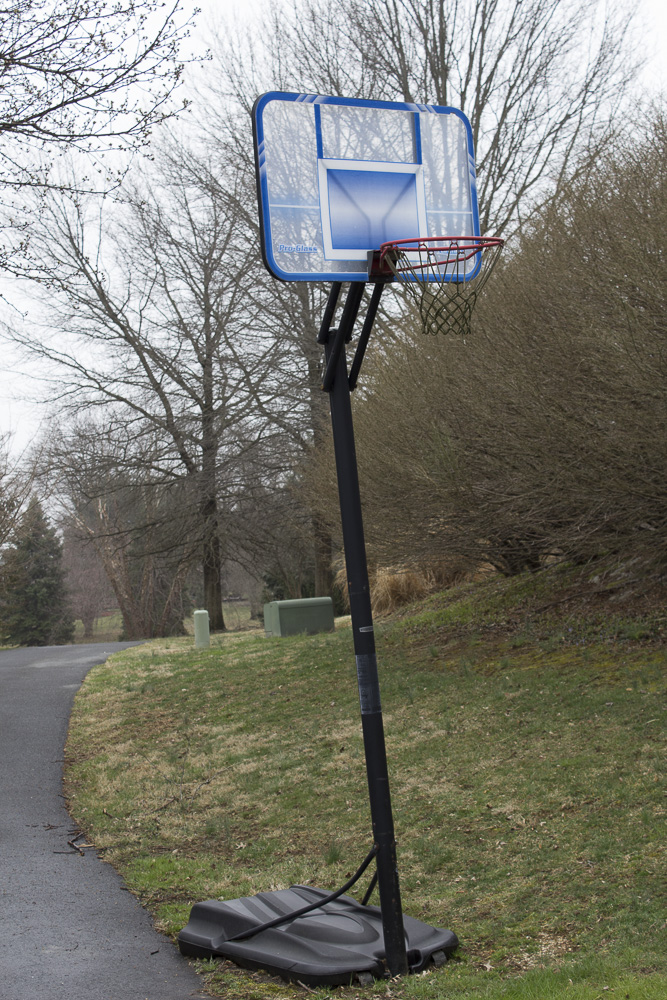 Lifetime Pro-Glass Basketball Hoop