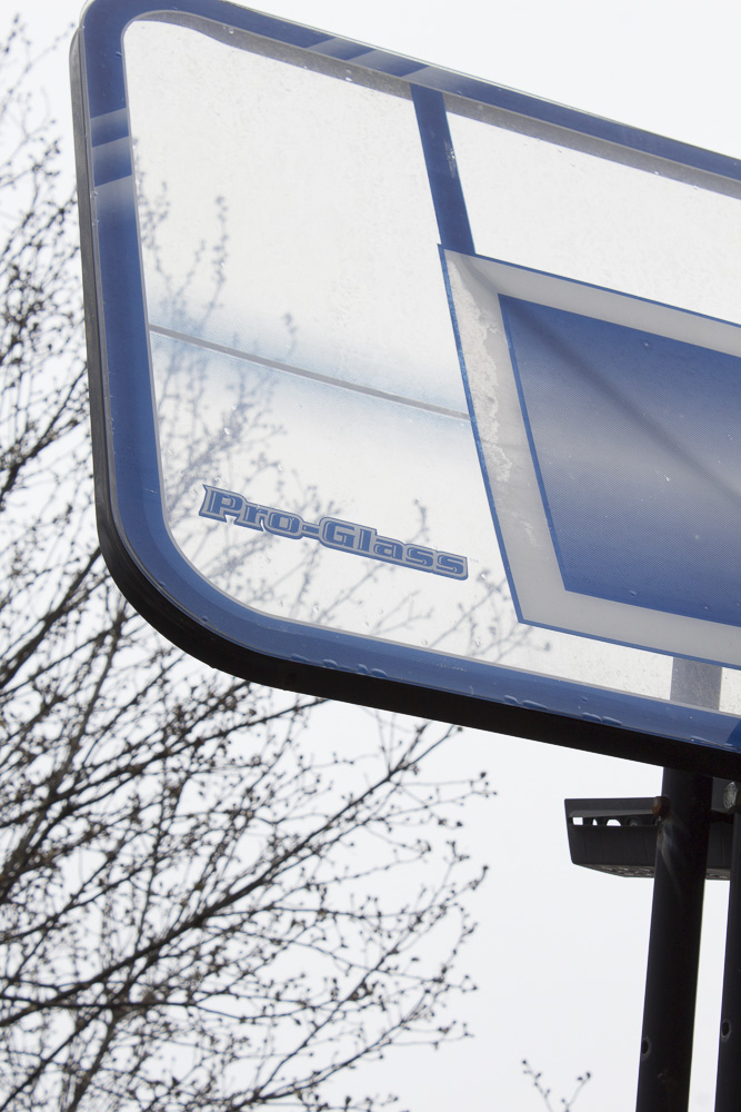 Lifetime Pro-Glass Basketball Hoop