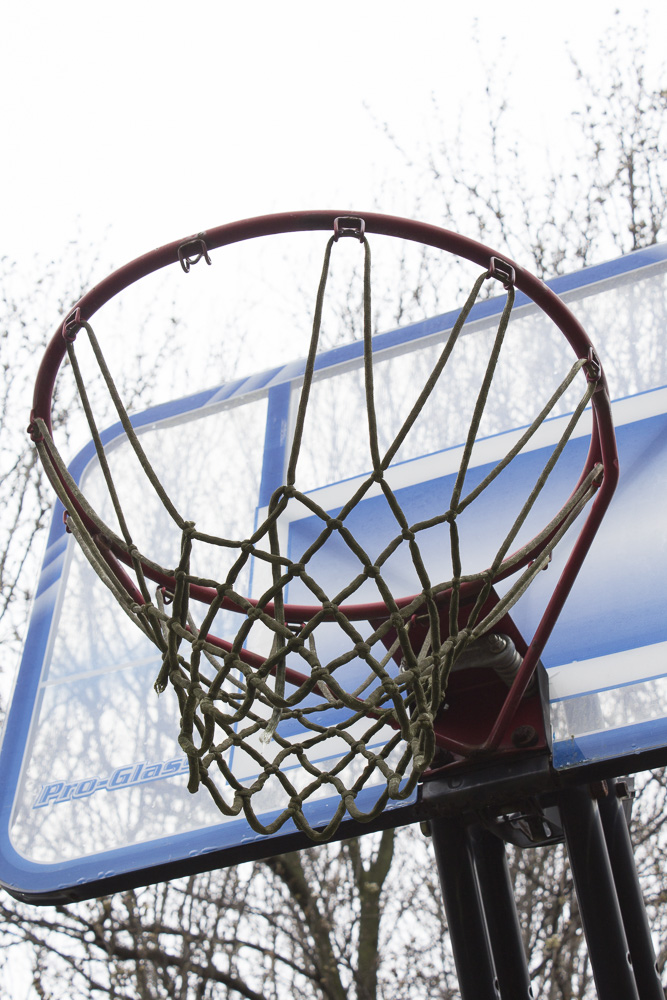 Lifetime Pro-Glass Basketball Hoop