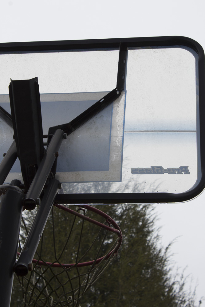 Lifetime Pro-Glass Basketball Hoop