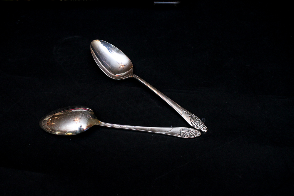 Community "White Orchid" Silver Plated Flatware Set Community