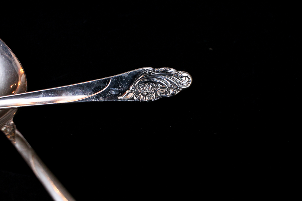 Community "White Orchid" Silver Plated Flatware Set Community