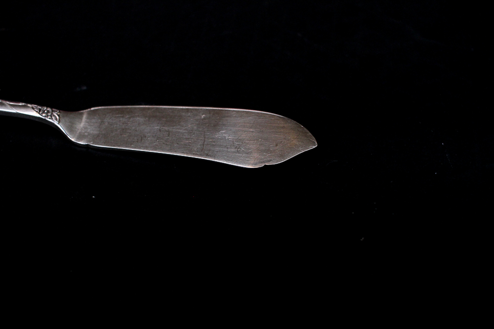 Community "White Orchid" Silver Plated Flatware Set Community