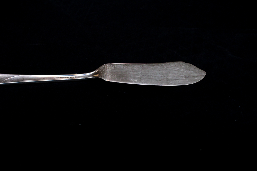 Community "White Orchid" Silver Plated Flatware Set Community