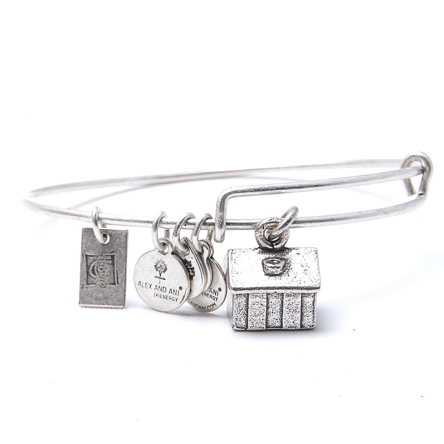 Alex and Ani Bracelet and Erin Wasson Leather Bracelet