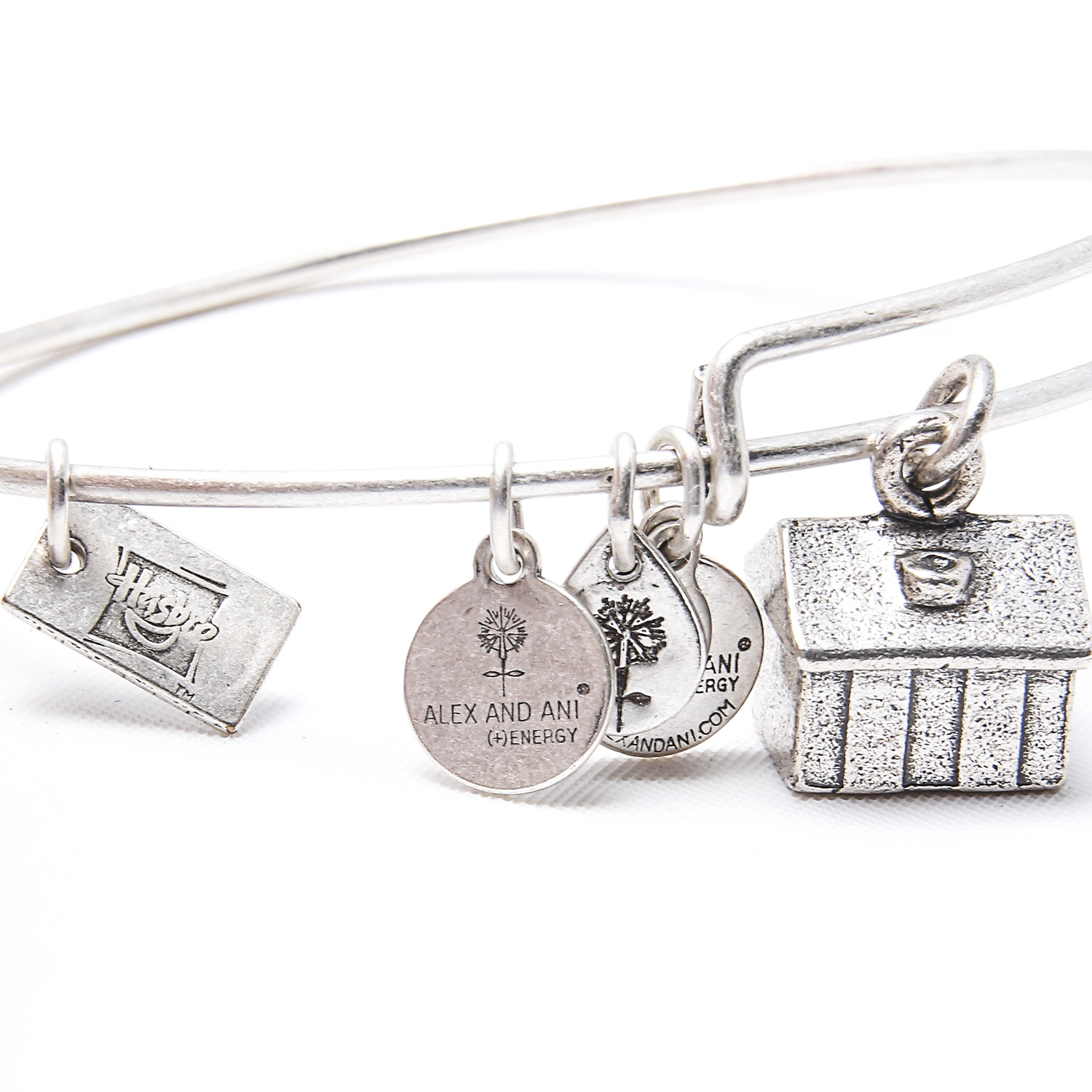 Alex and Ani Bracelet and Erin Wasson Leather Bracelet