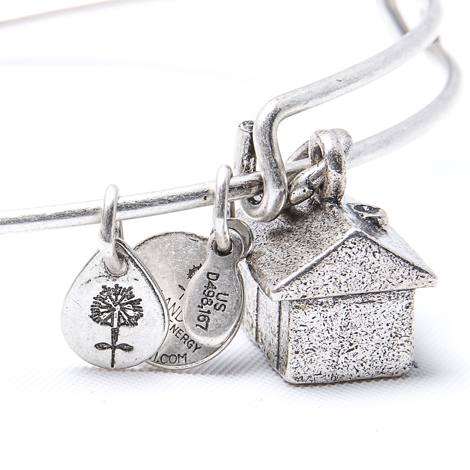 Alex and Ani Bracelet and Erin Wasson Leather Bracelet