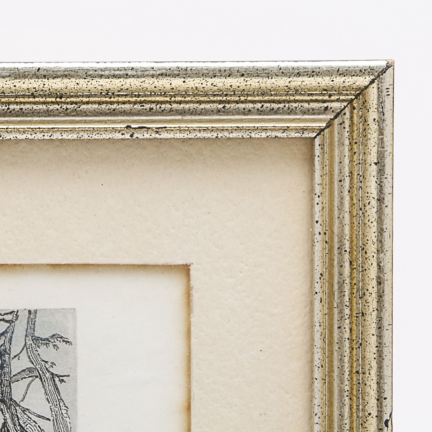 Signed E. Radclyffe Etching Titled "Barhydt's Lake (Near Saratoga)"