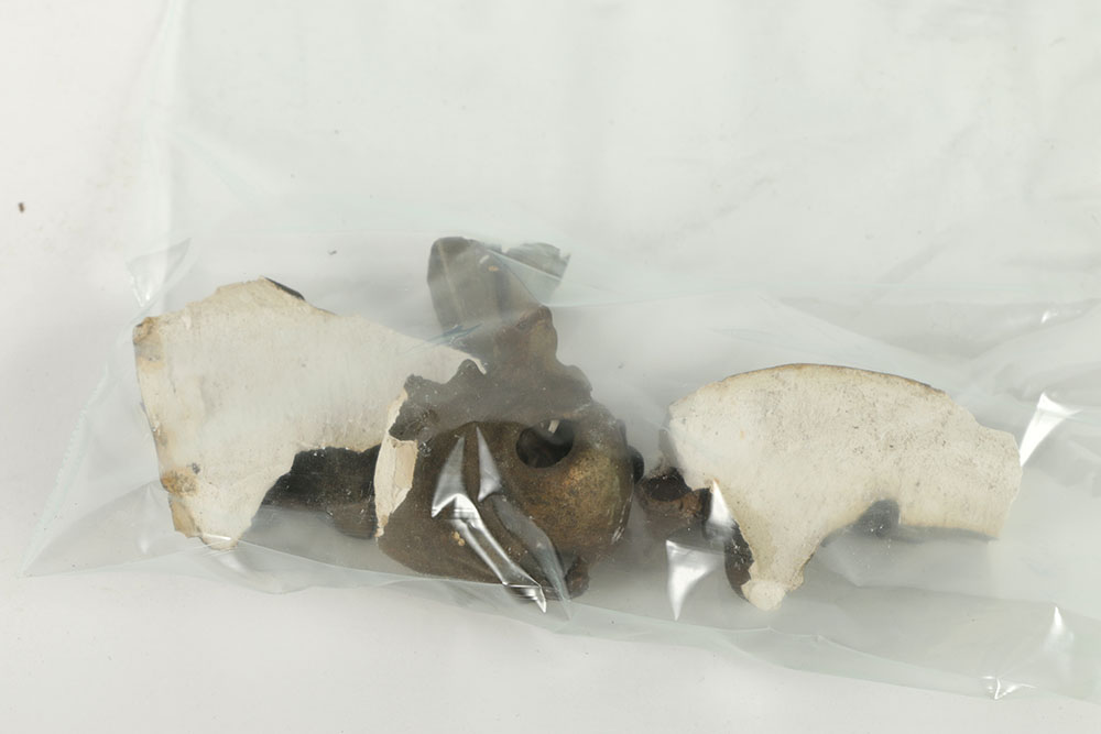 19th-Century Shadow Box Style Frame with Gilt and Gesso