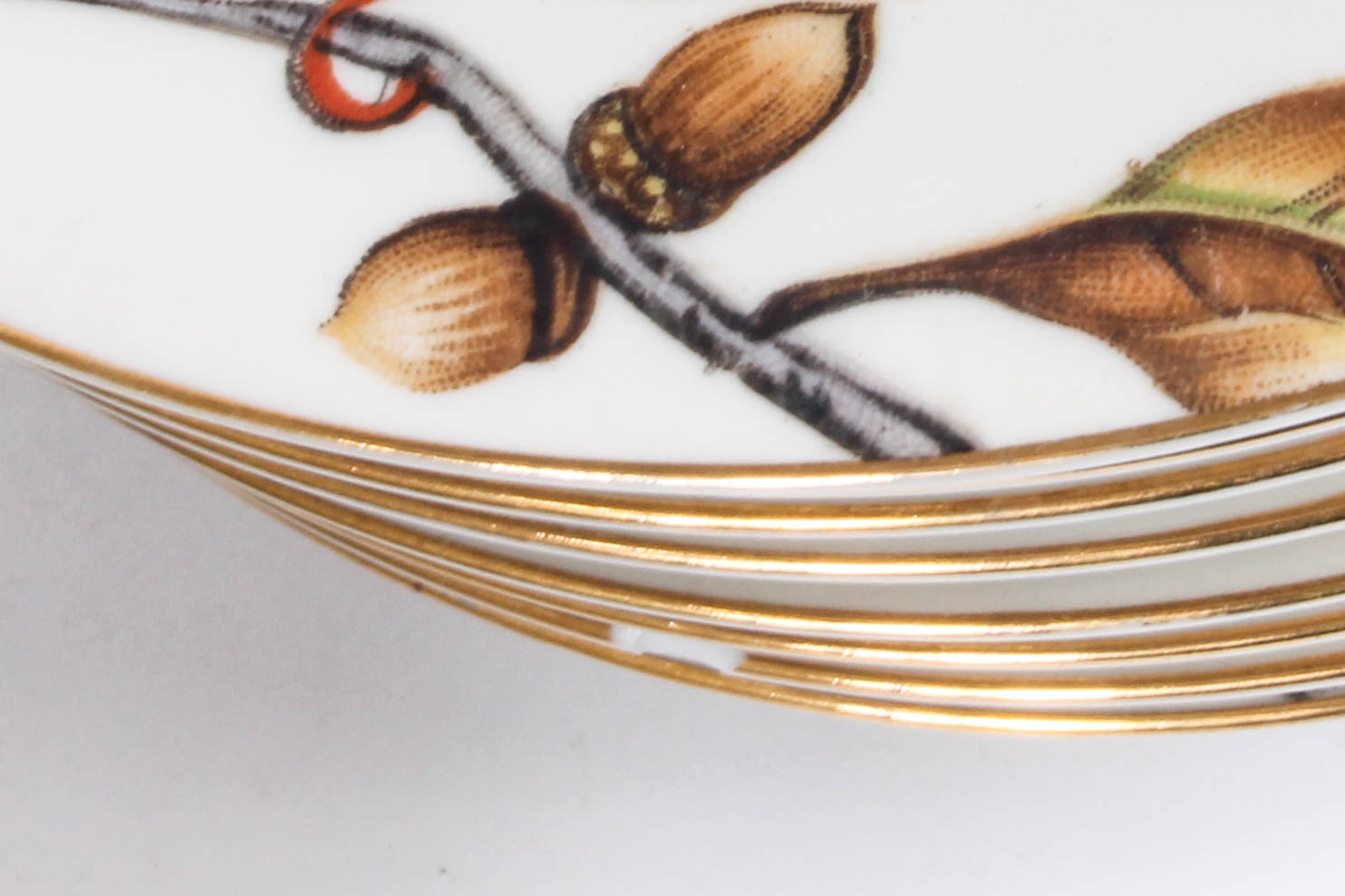 Meito Norleans "Royal Oak" China Dinnerware