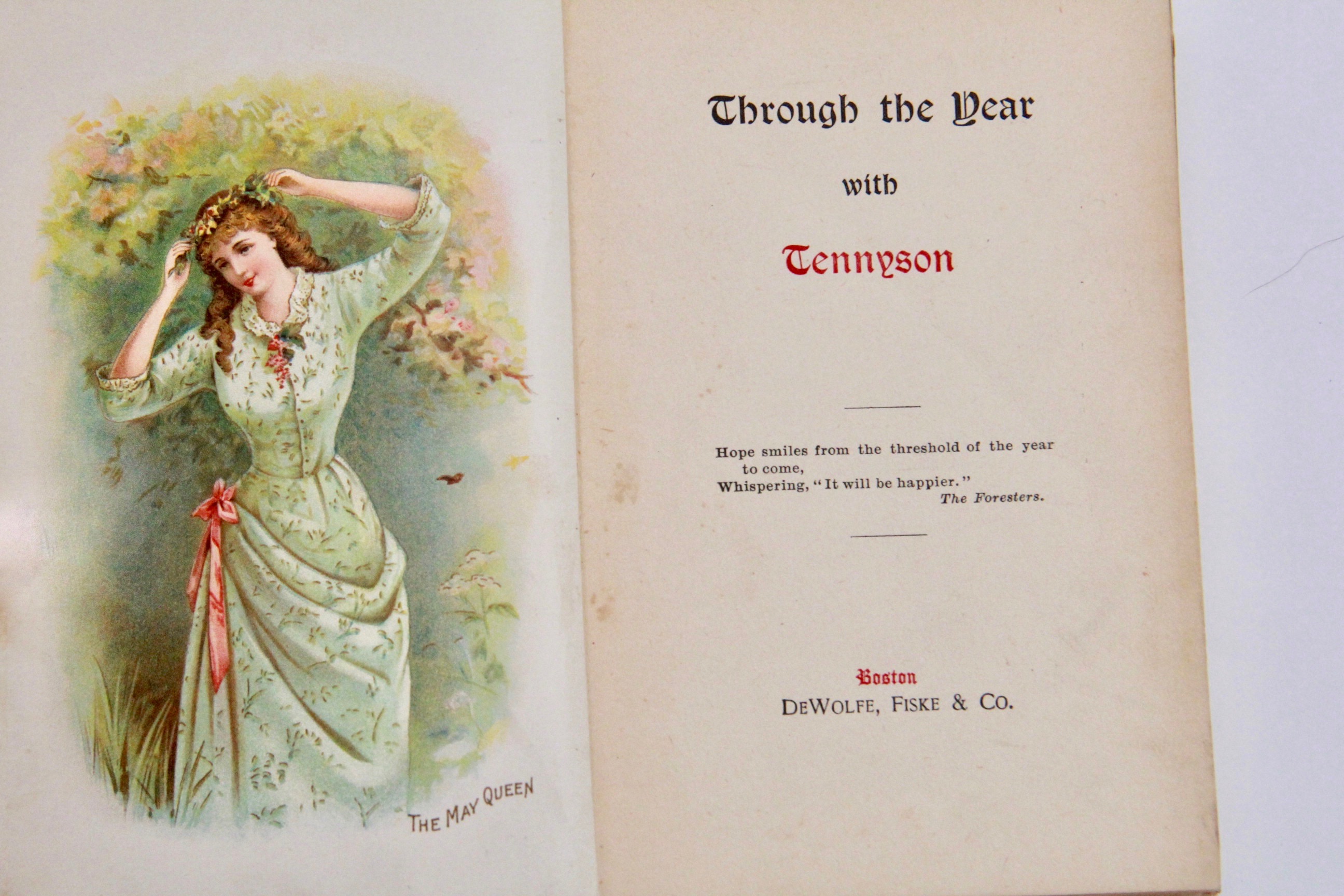 Antique Works of Literature by Tennyson and Hawthorne