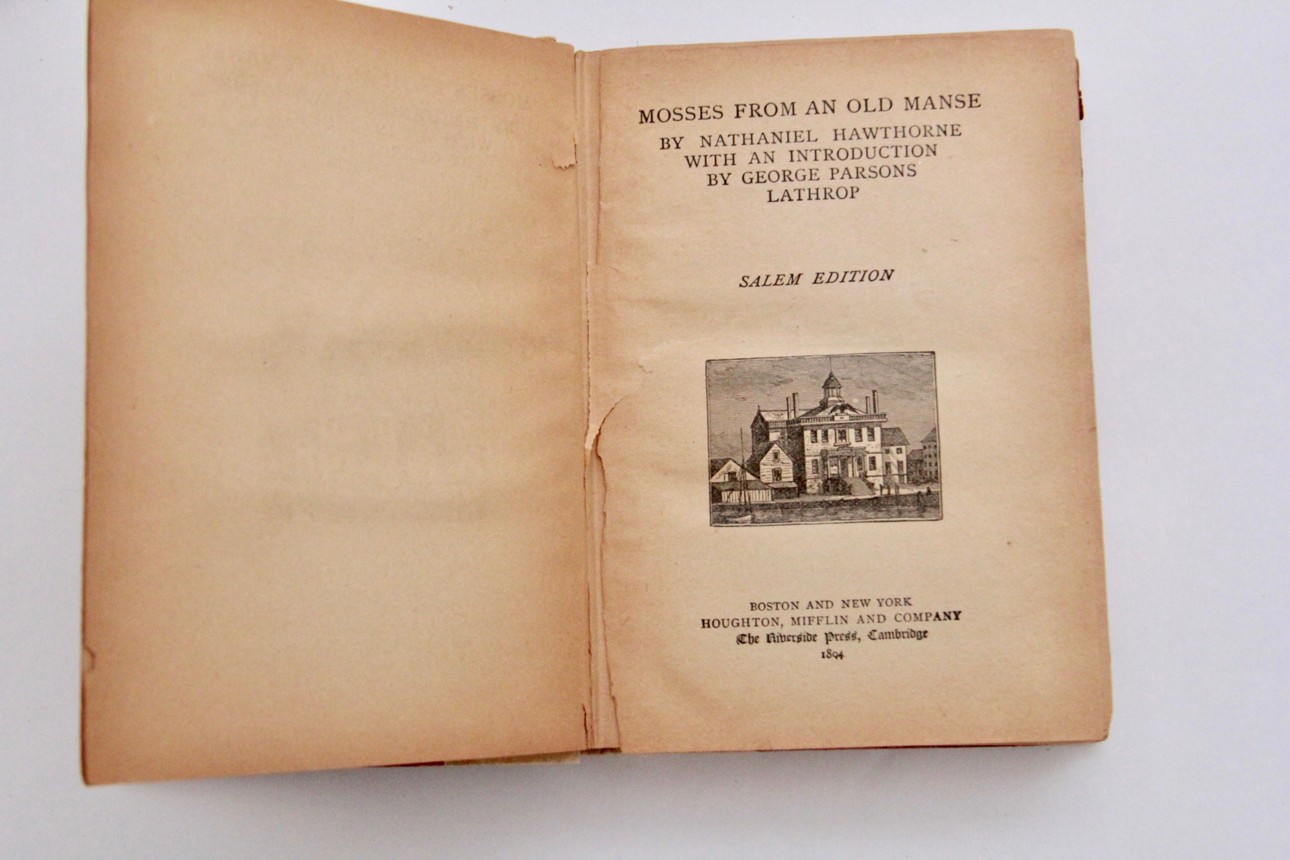 Antique Works of Literature by Tennyson and Hawthorne