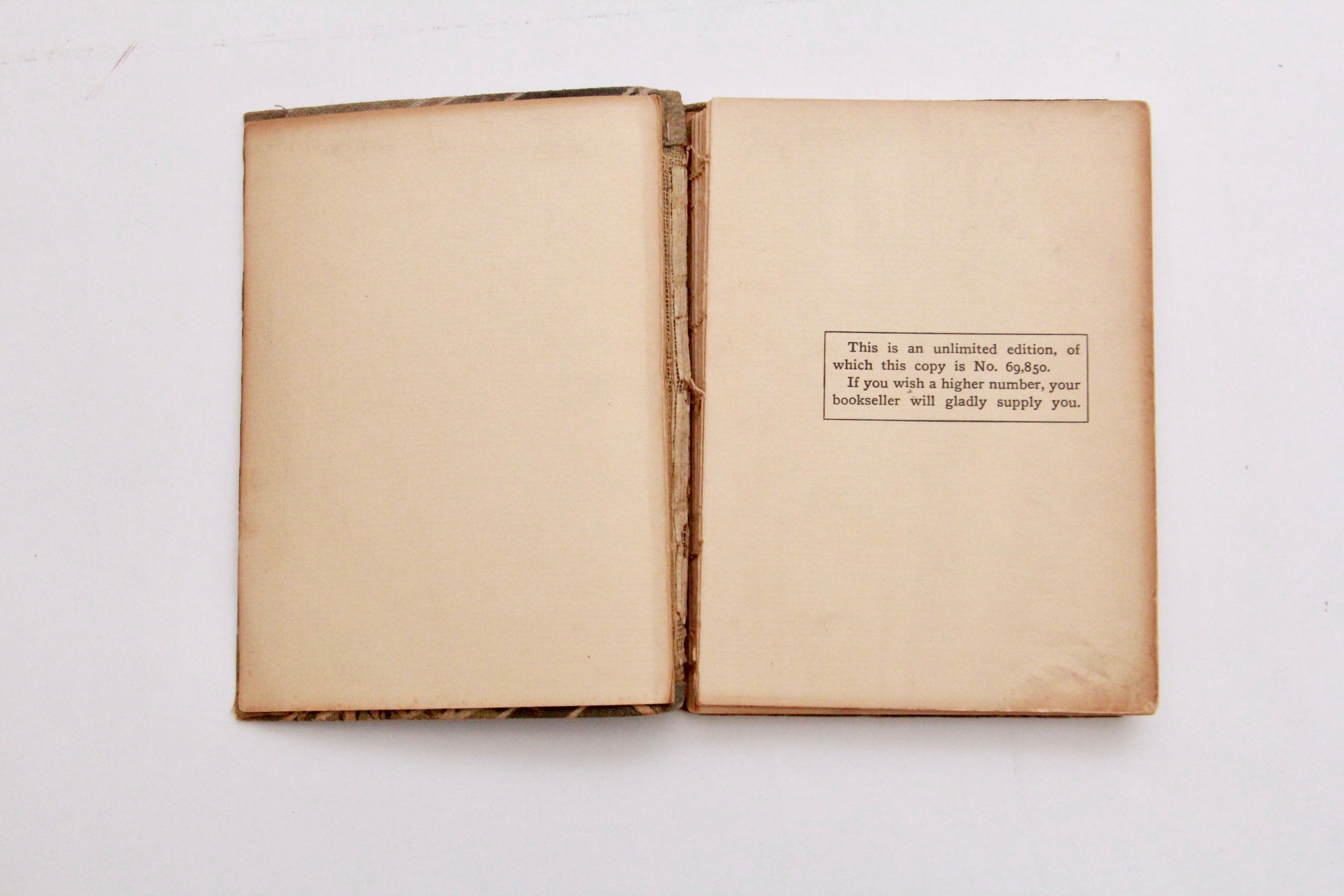 1905 "The Log of the Water Wagon or The Cruise of the Good Ship 'Lithia'"