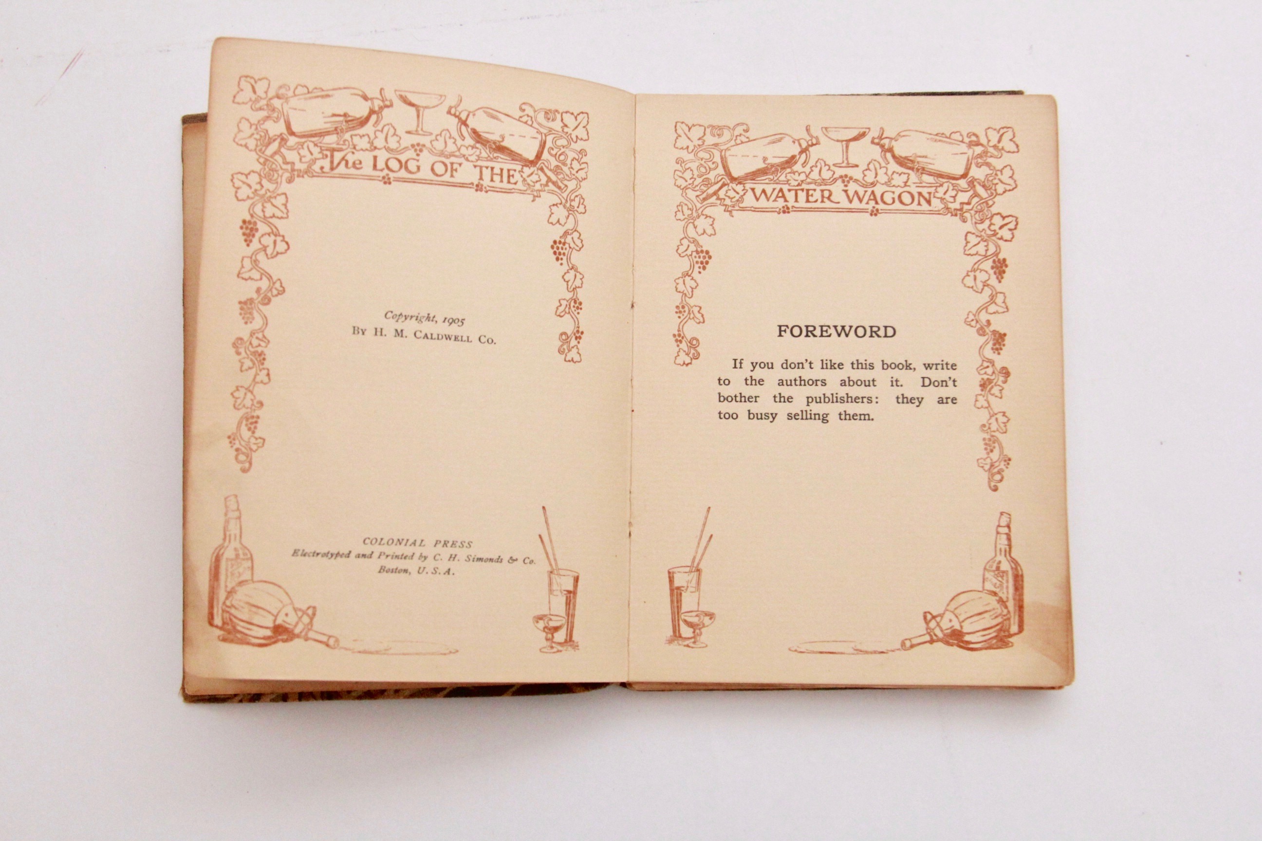 1905 "The Log of the Water Wagon or The Cruise of the Good Ship 'Lithia'"