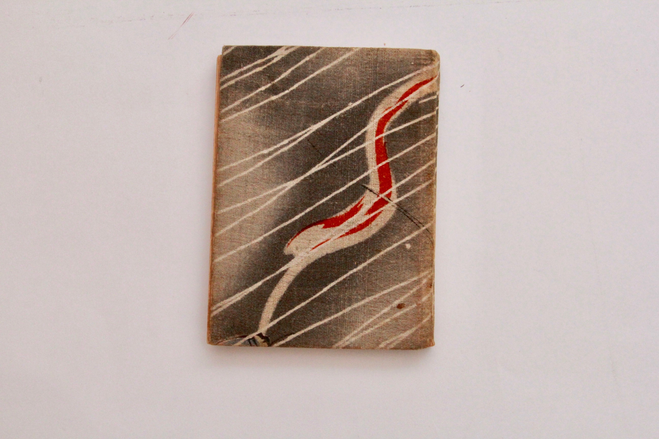 1905 "The Log of the Water Wagon or The Cruise of the Good Ship 'Lithia'"