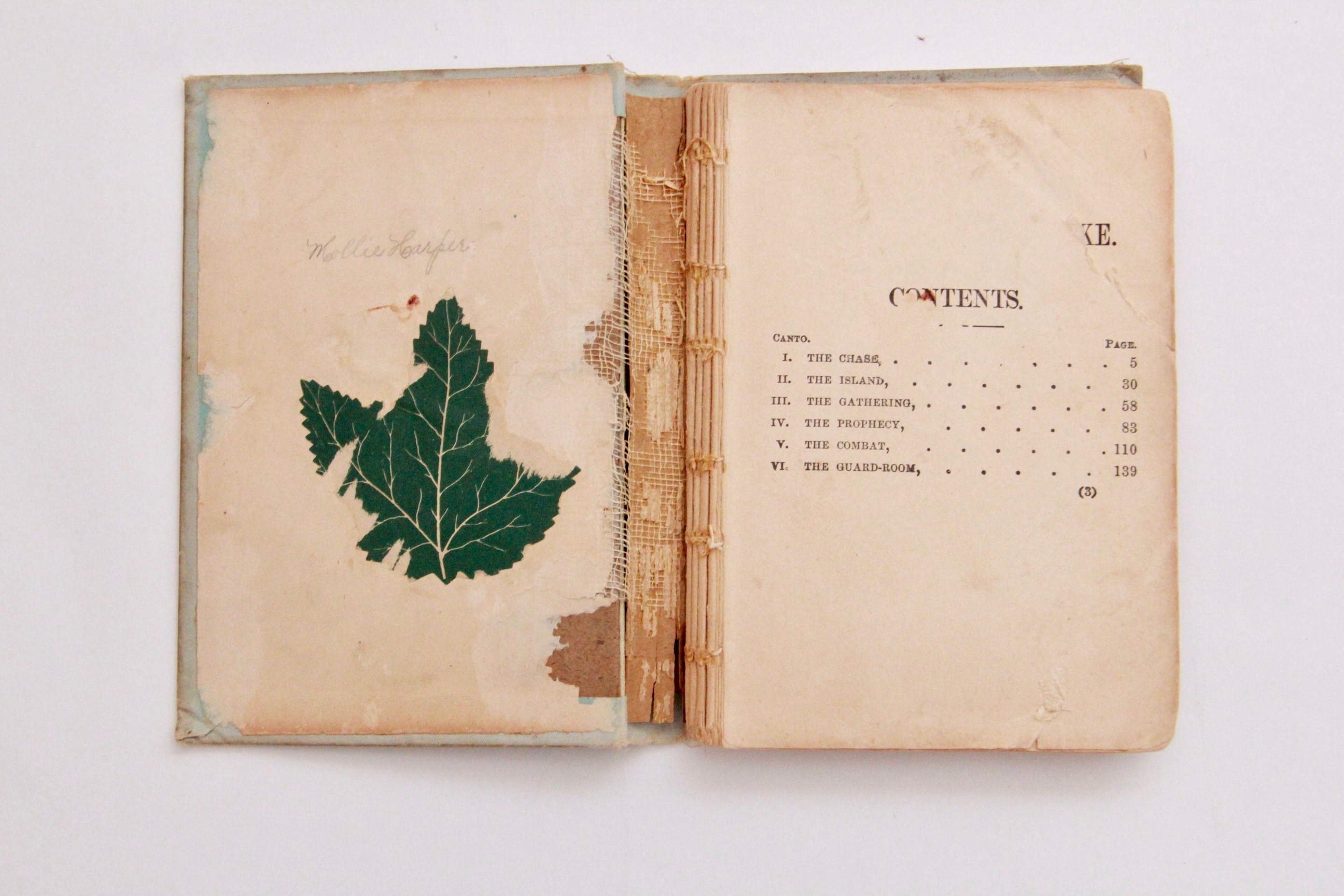 Antique "The Lady Of The Lake: A Poem in Six Cantos" by Sir Walter Scott