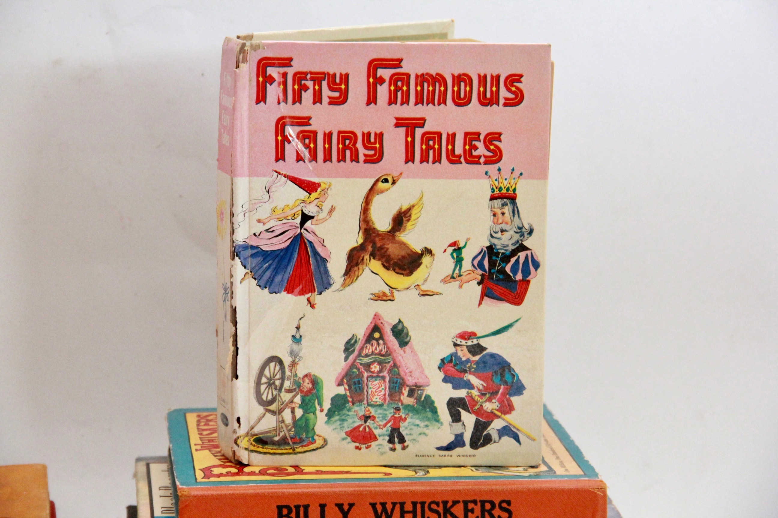 Children's Story Books