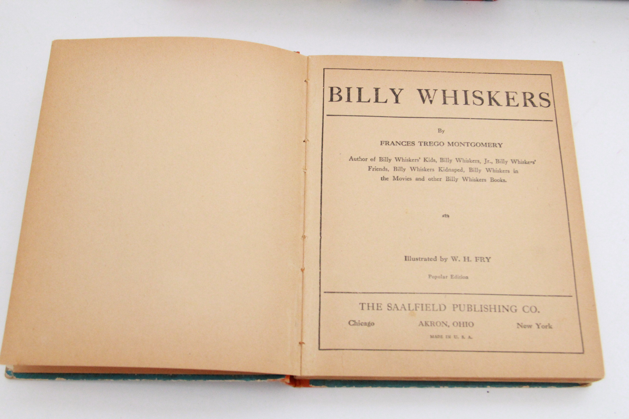 Children's Story Books