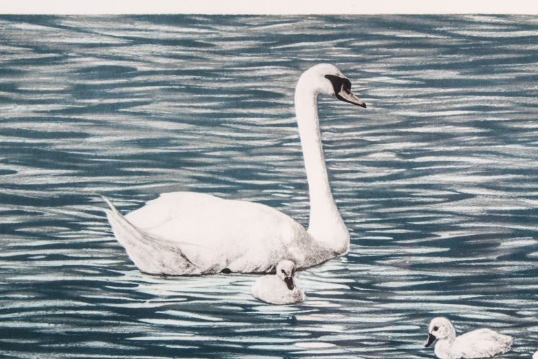 Gerald Lubeck Lithograph "Morning Swim"