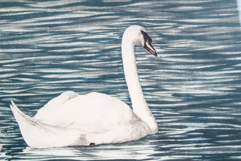 Gerald Lubeck Lithograph "Morning Swim"